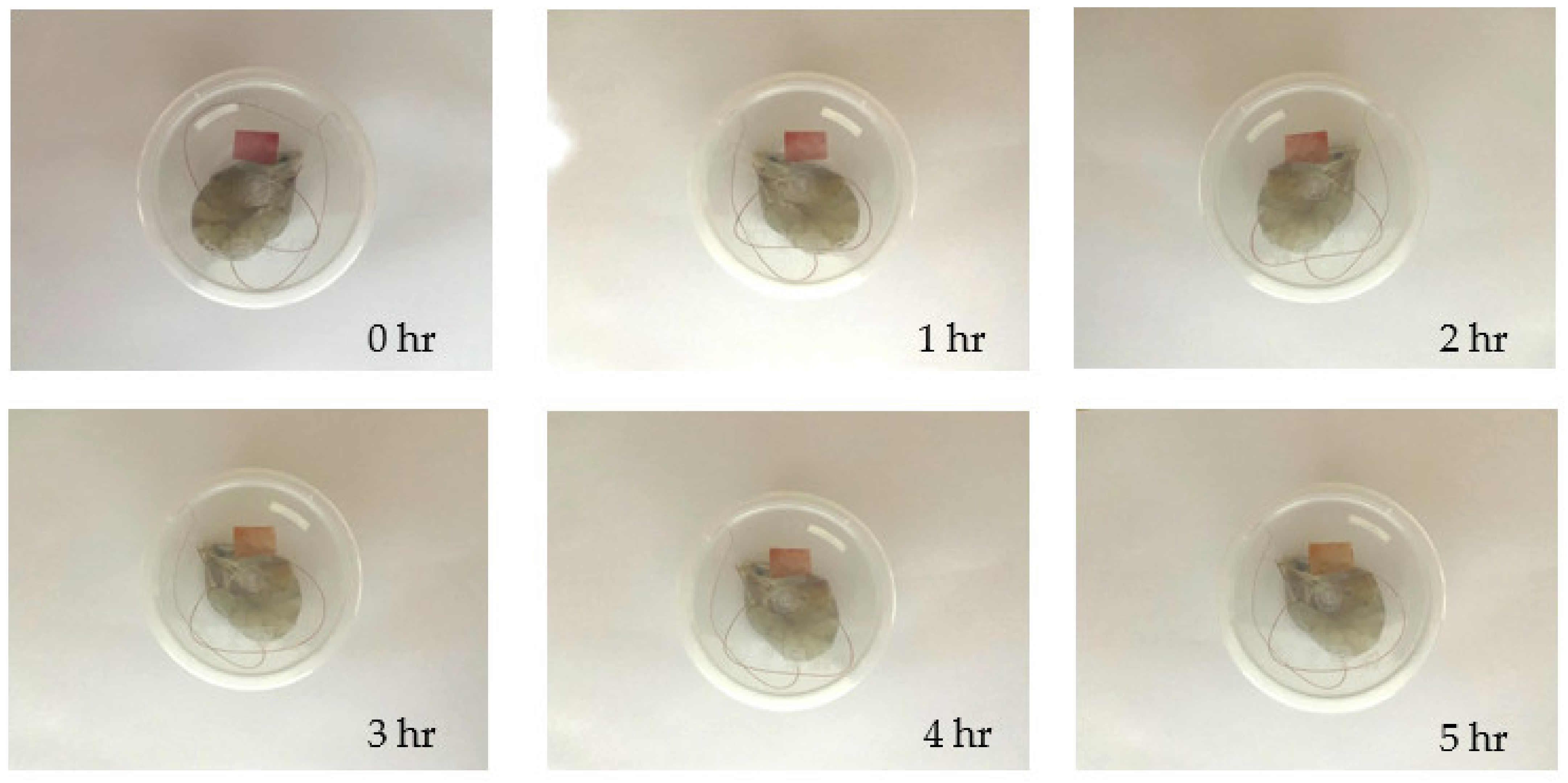 Polymers 14 04142 g008 Polymers 14 04142 g008