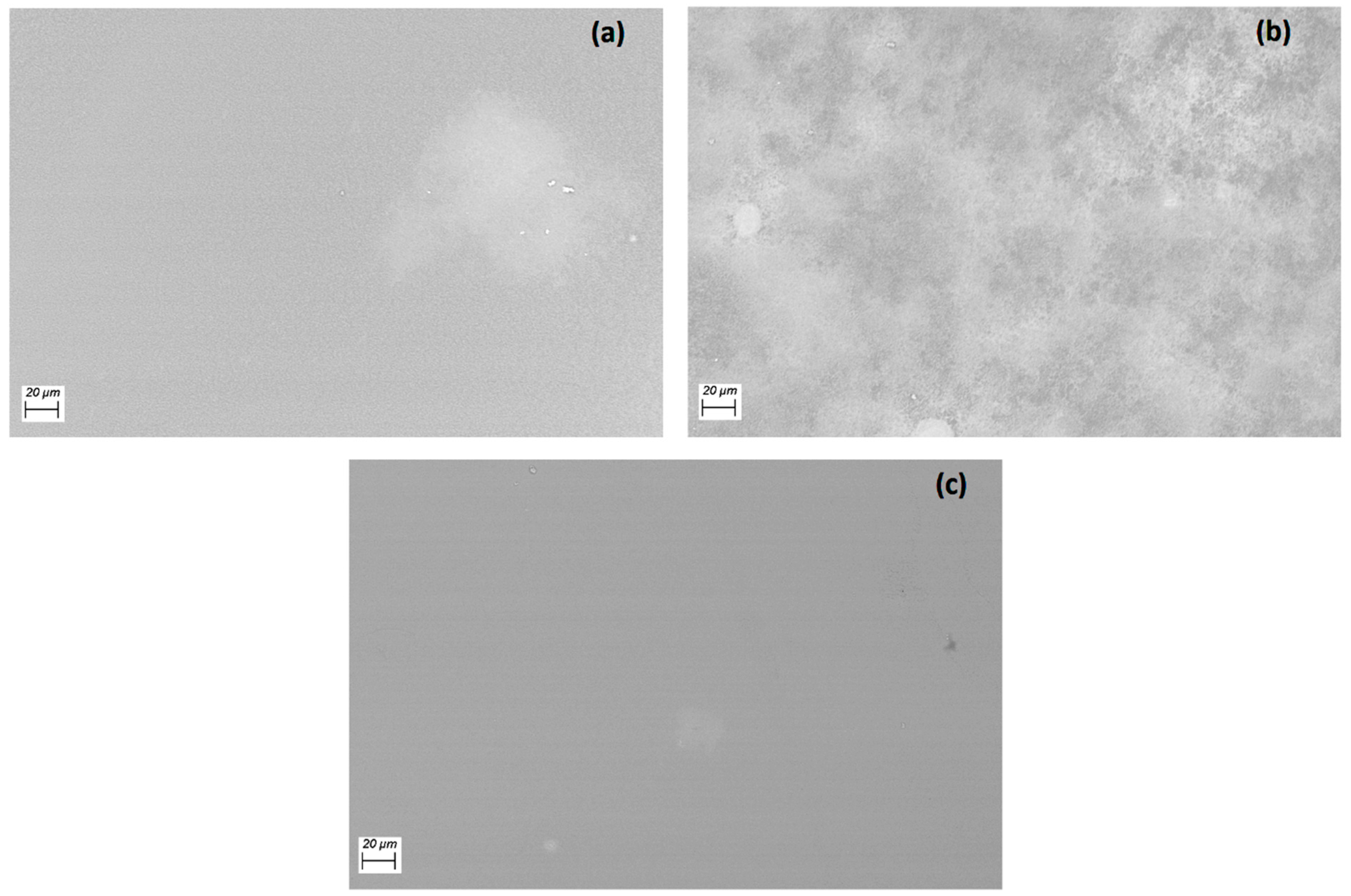 Polymers 14 04143 g002 Polymers 14 04143 g002
