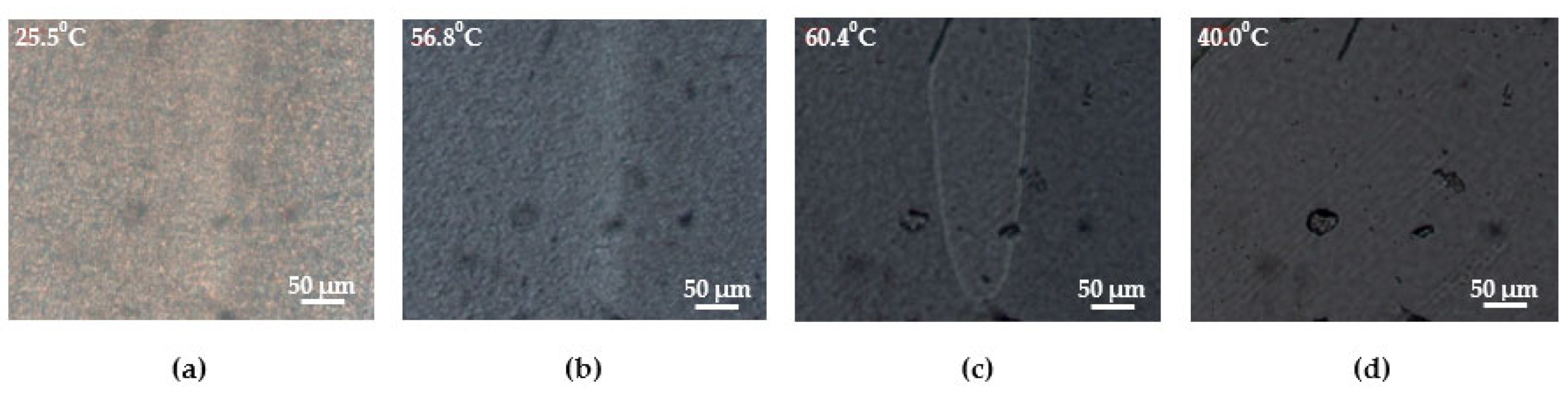 Polymers 14 04145 g011 Polymers 14 04145 g011