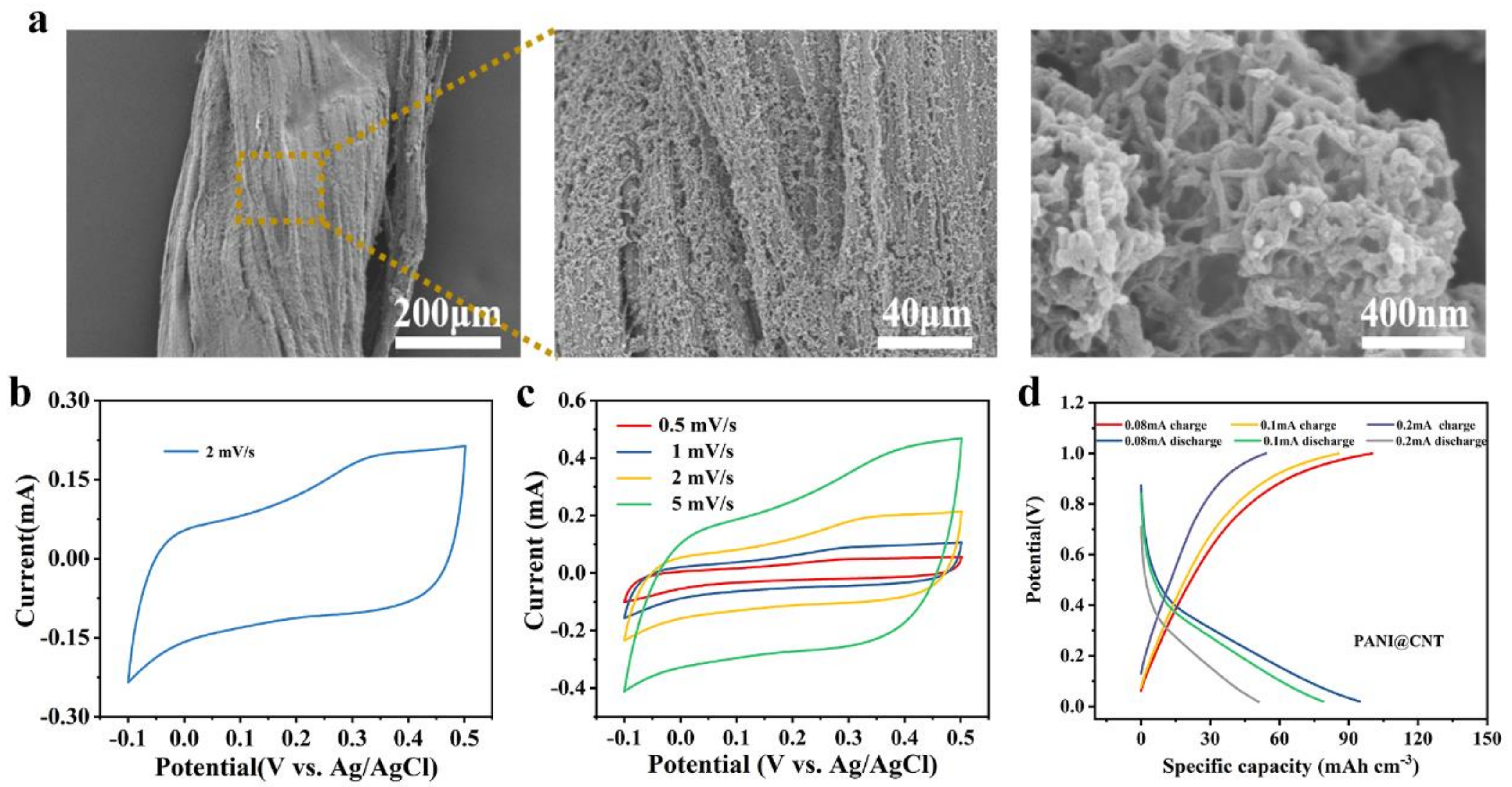 Polymers 14 04149 g005 Polymers 14 04149 g005
