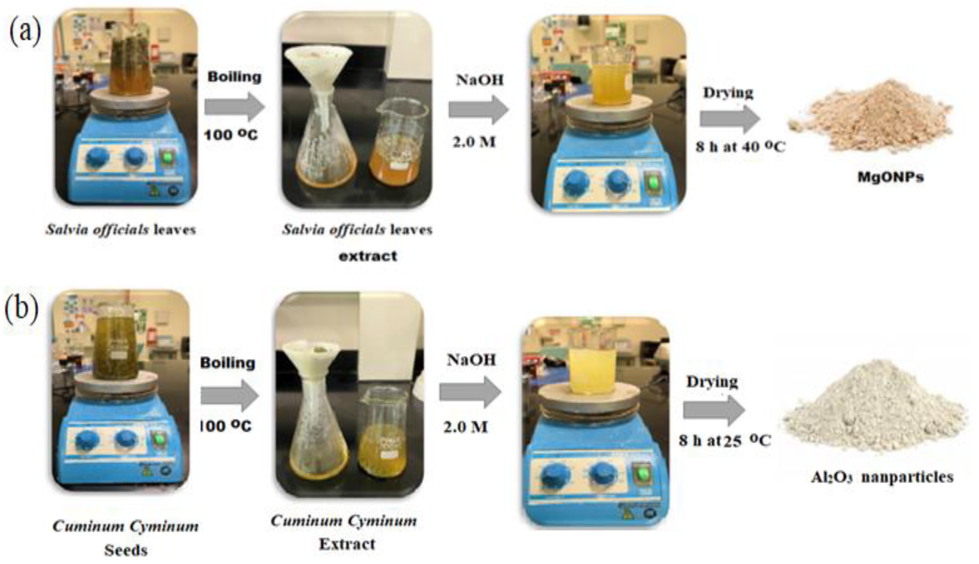 Polymers 14 04150 g002 Polymers 14 04150 g002