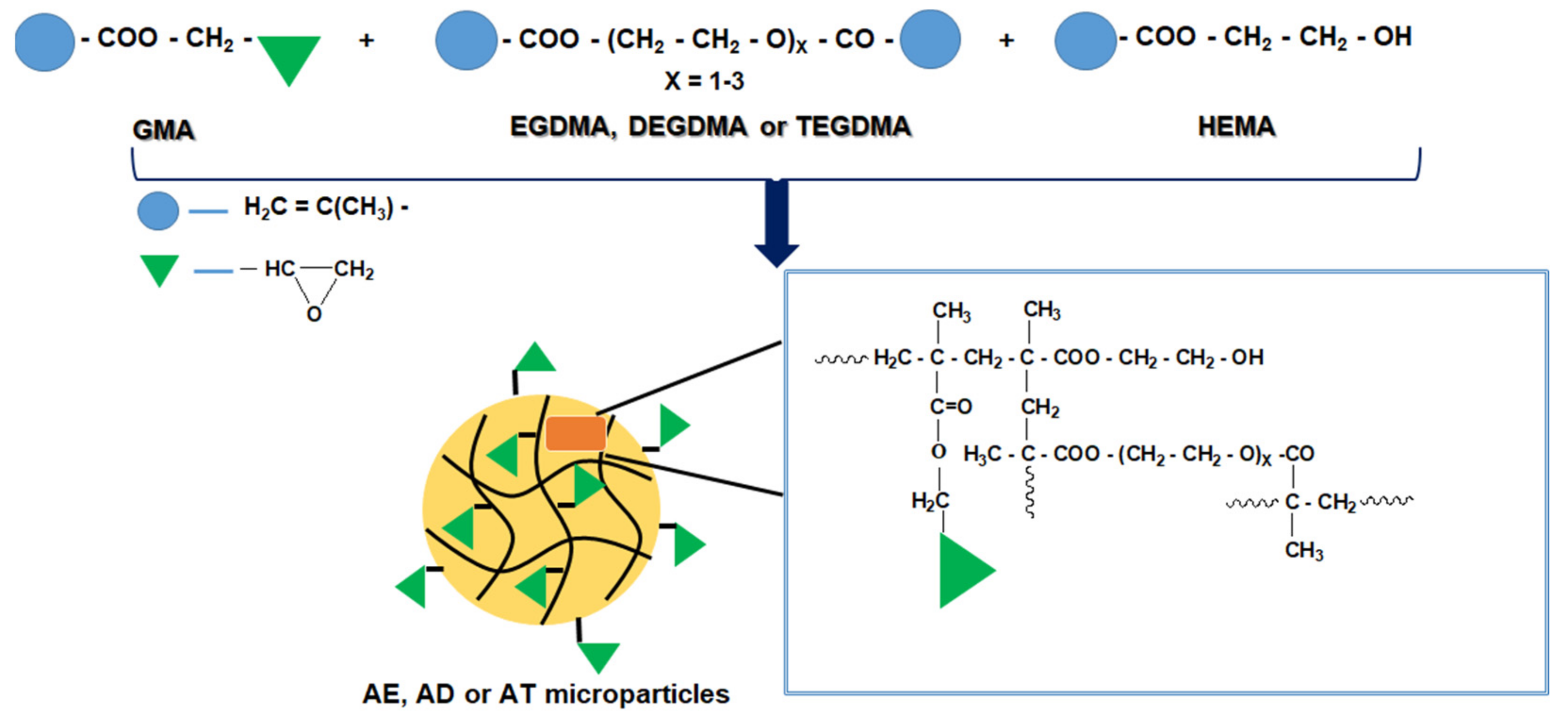 Polymers 14 04151 g001