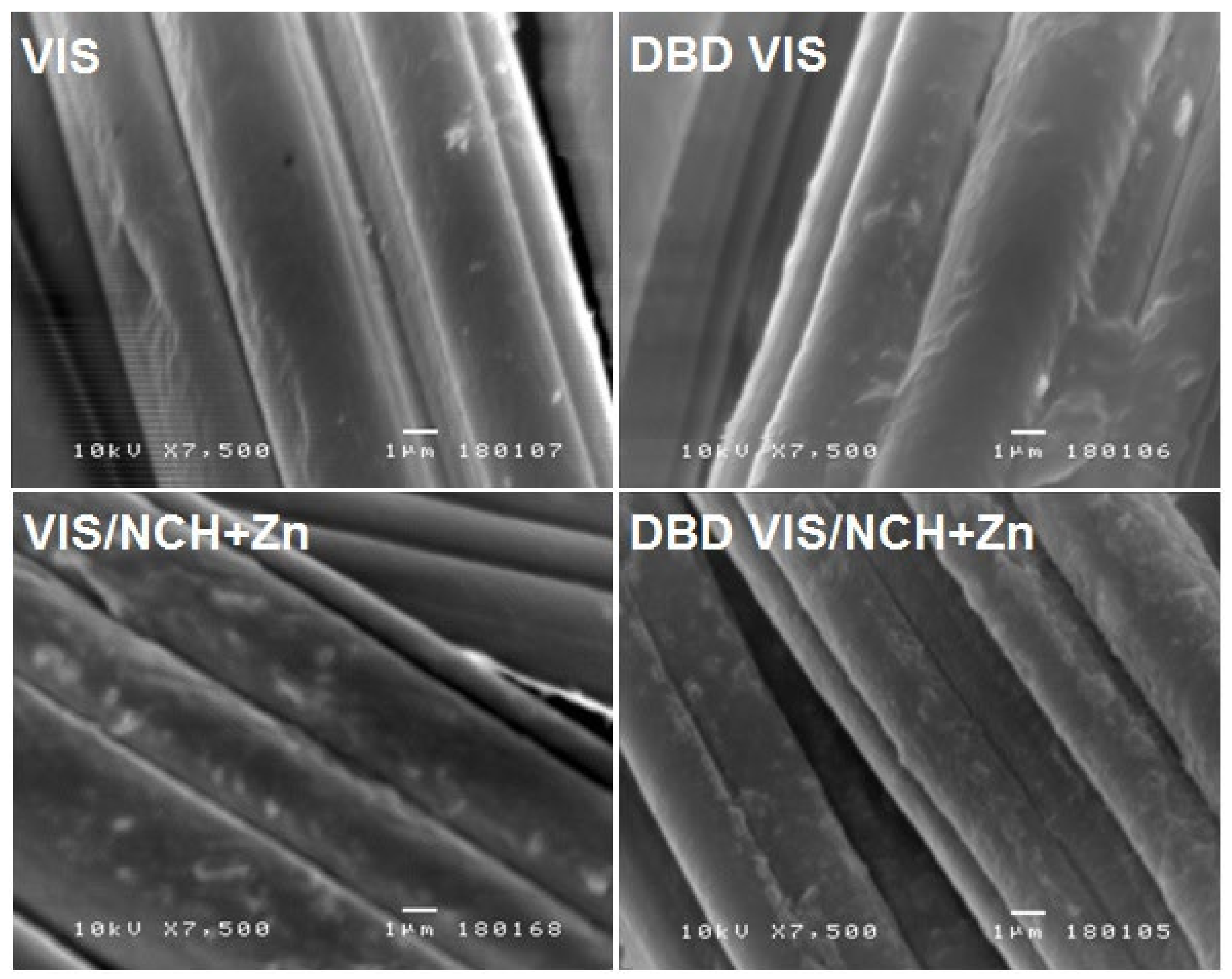 Polymers 14 04152 g005