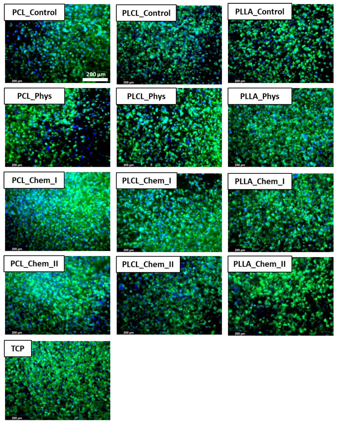 Polymers 14 04154 g009 Polymers 14 04154 g009