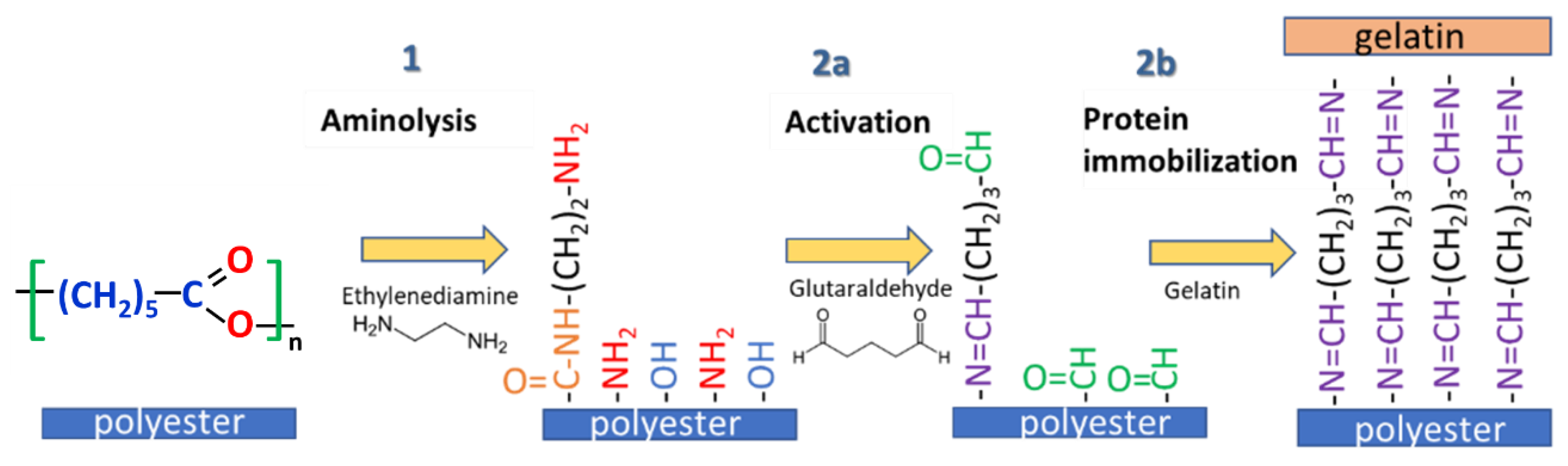 Polymers 14 04154 sch001 Polymers 14 04154 sch001