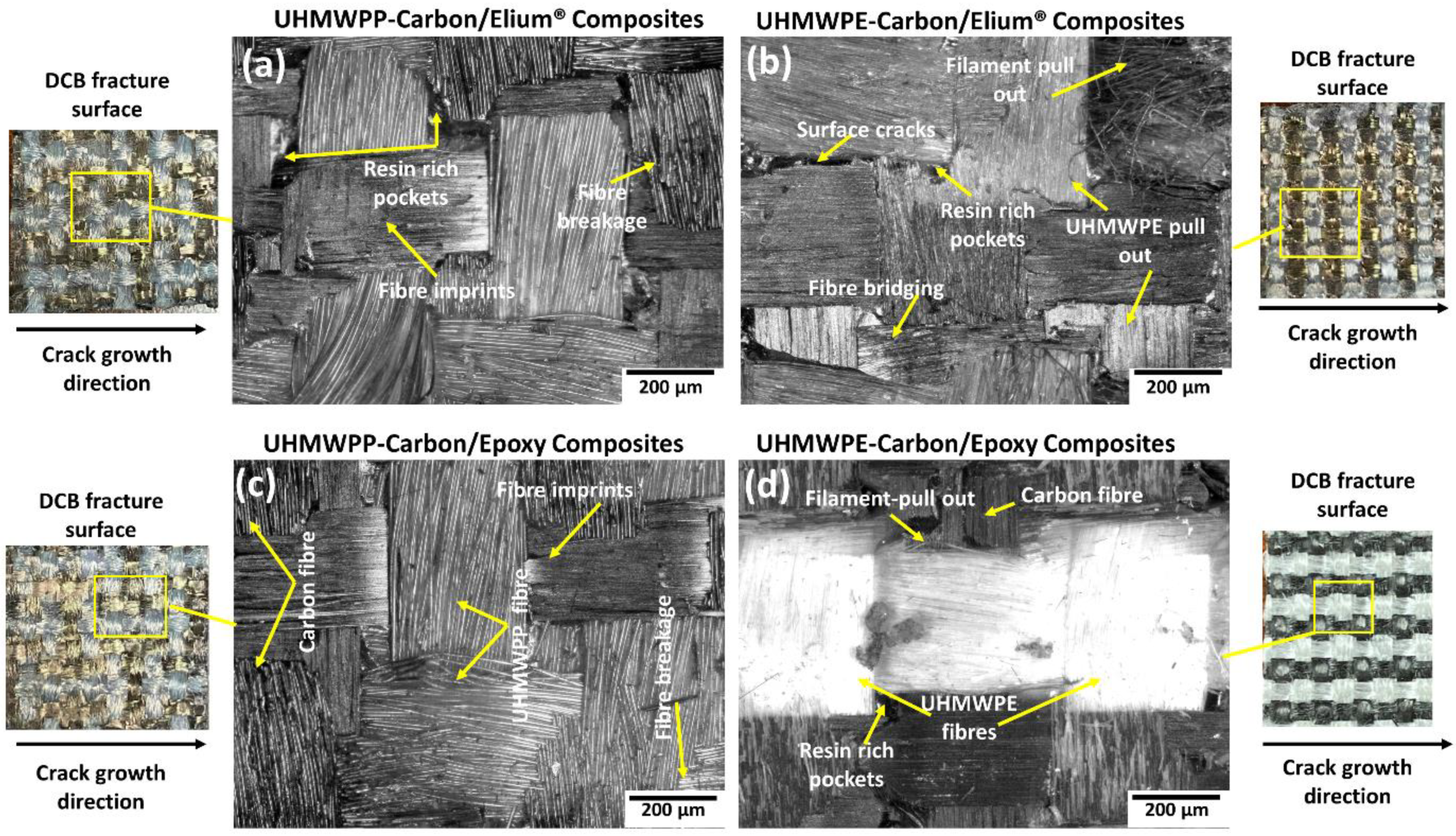 Polymers 14 04155 g010 Polymers 14 04155 g010