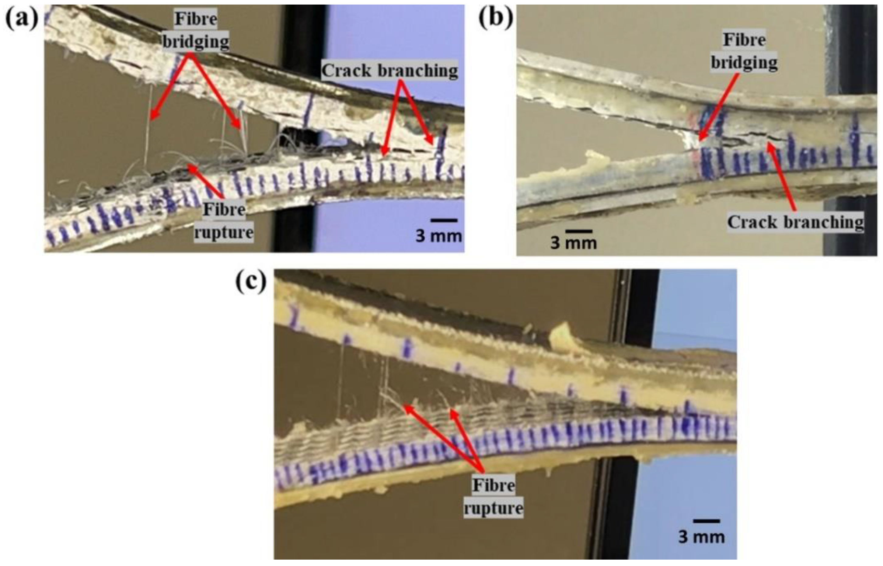 Polymers 14 04155 g011 Polymers 14 04155 g011