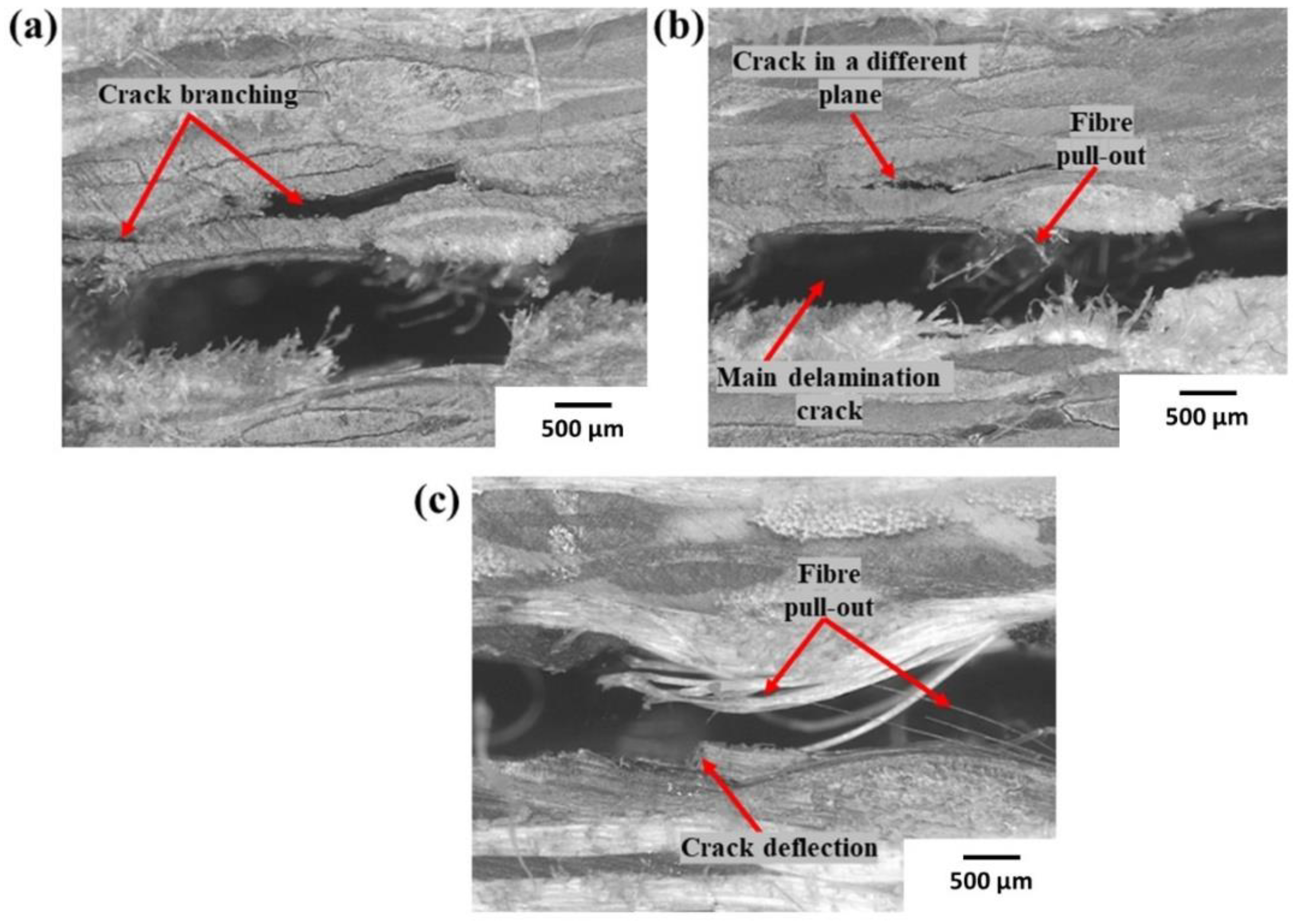 Polymers 14 04155 g012 Polymers 14 04155 g012