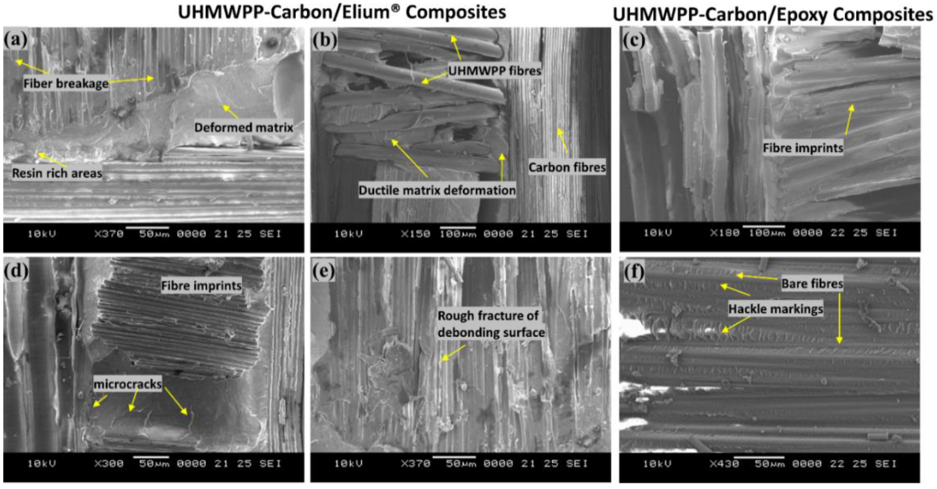 Polymers 14 04155 g013 Polymers 14 04155 g013