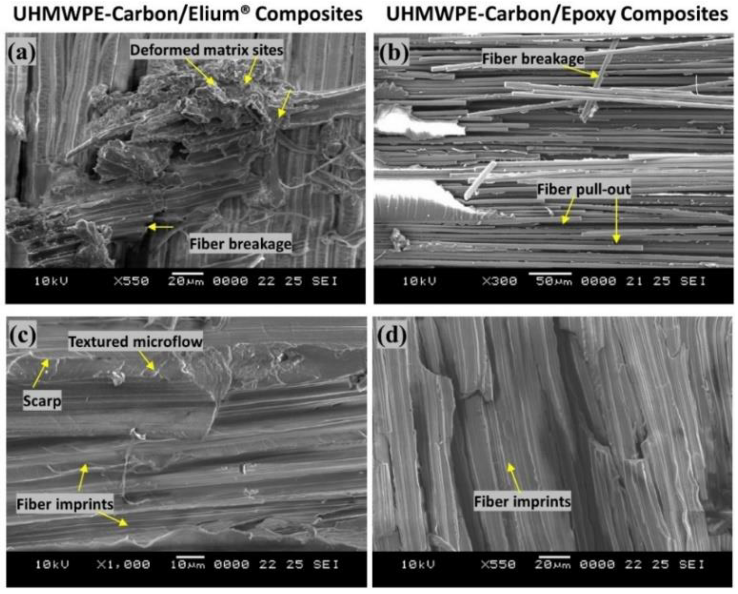 Polymers 14 04155 g014 Polymers 14 04155 g014