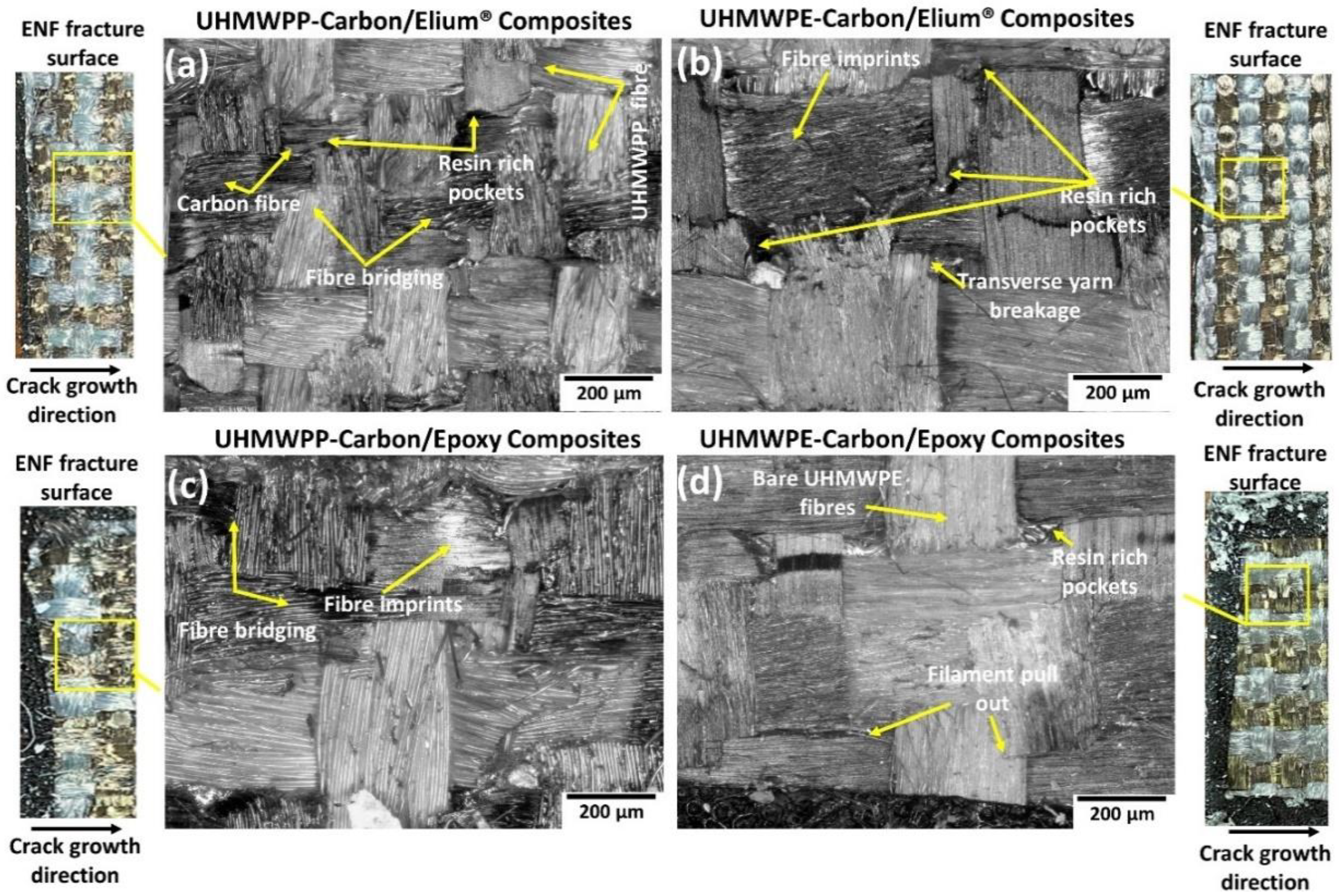 Polymers 14 04155 g019 Polymers 14 04155 g019