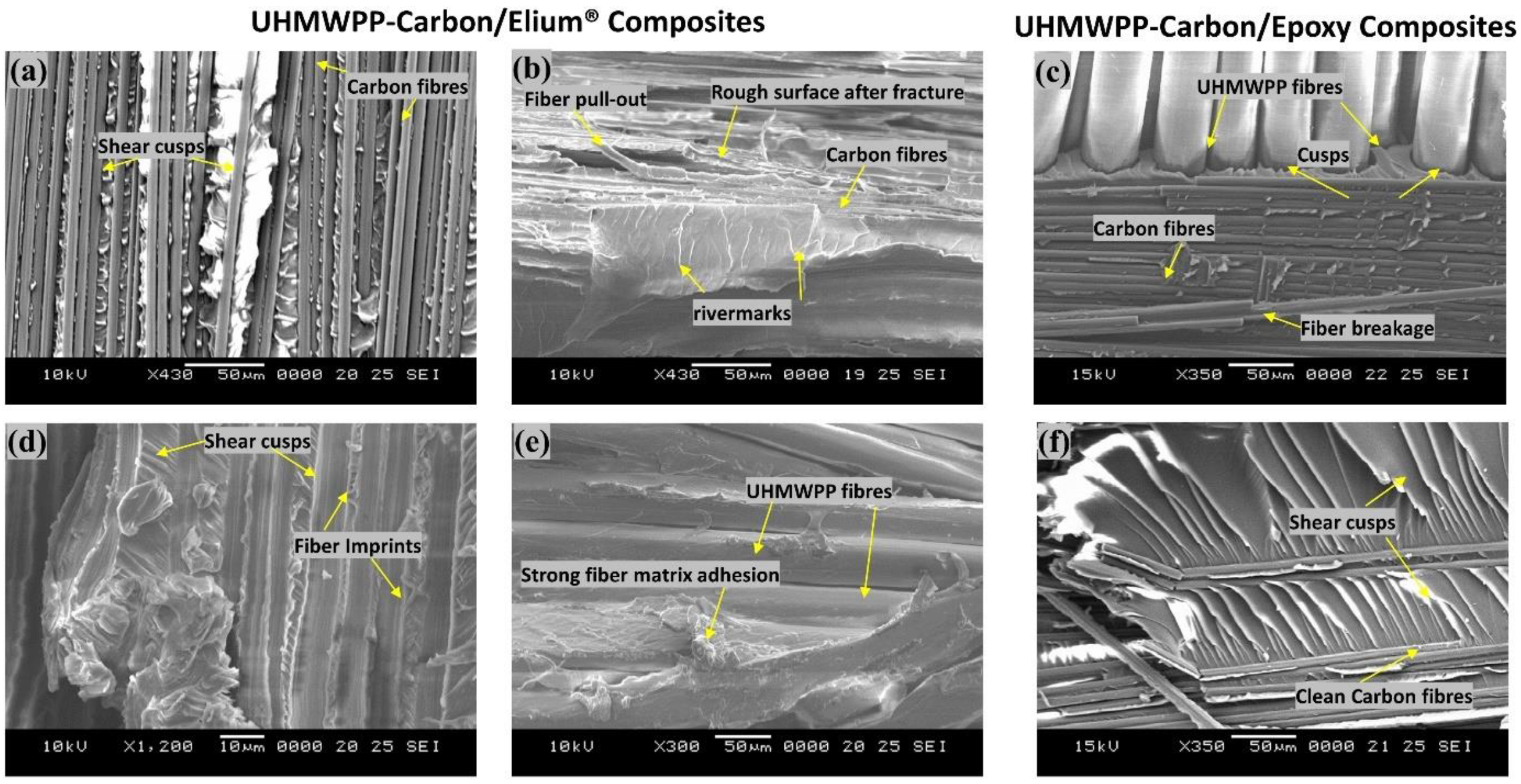 Polymers 14 04155 g020 Polymers 14 04155 g020