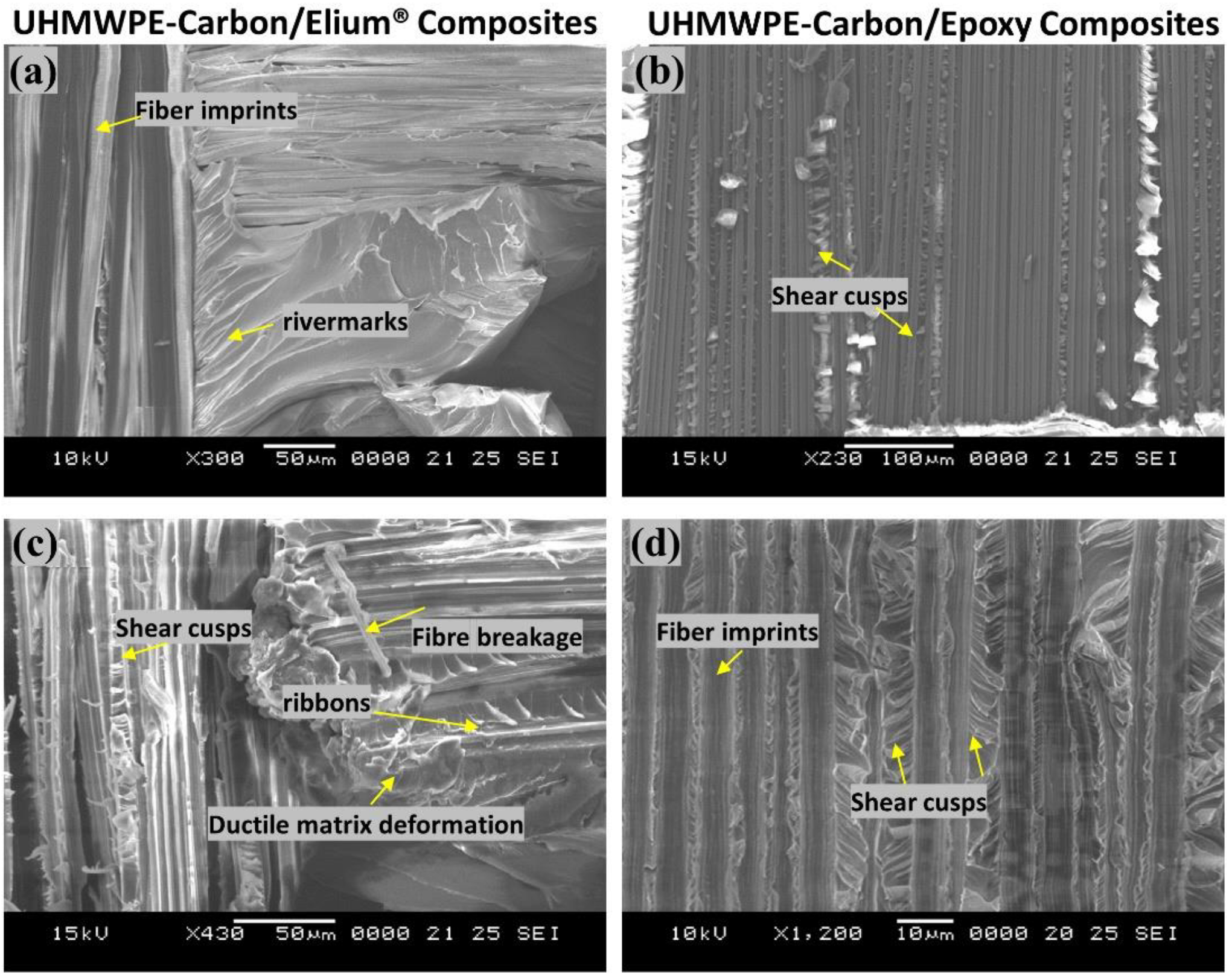 Polymers 14 04155 g021 Polymers 14 04155 g021