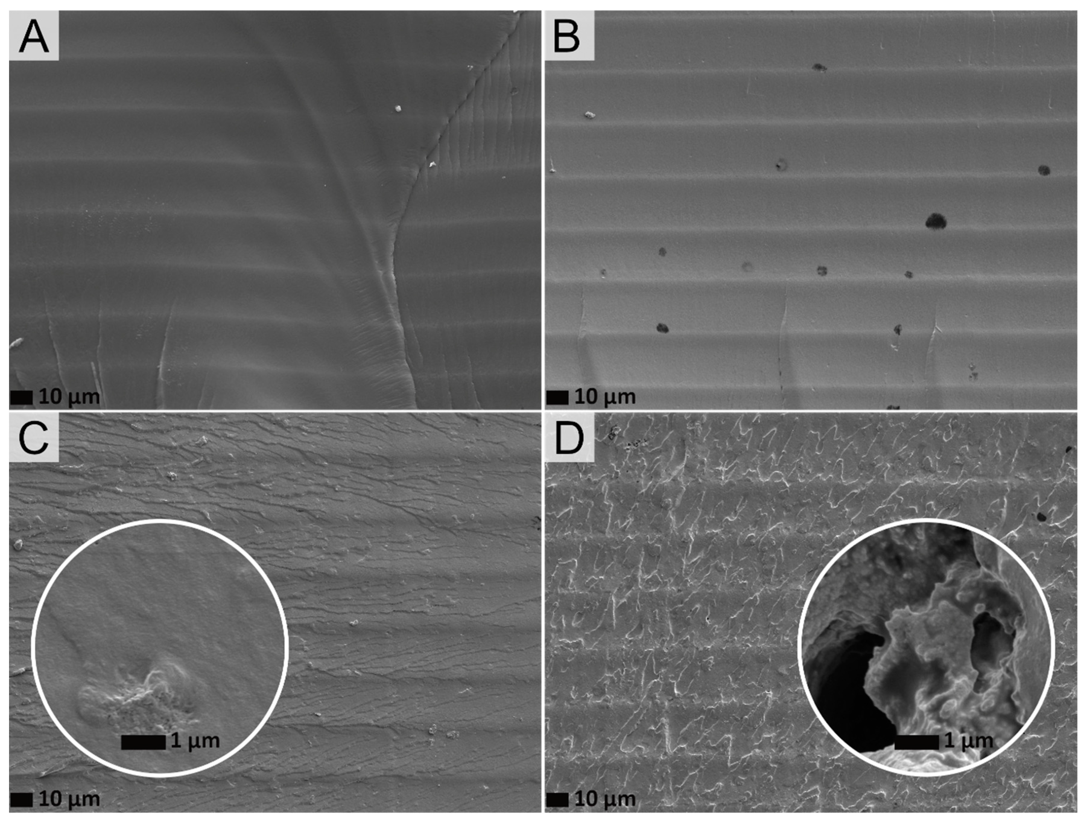 Polymers 14 04164 g004 Polymers 14 04164 g004