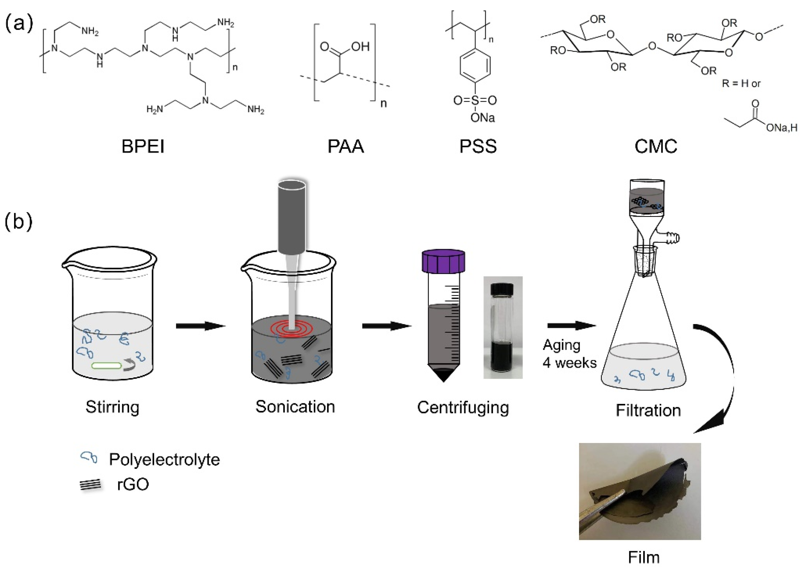 Polymers 14 04165 g001