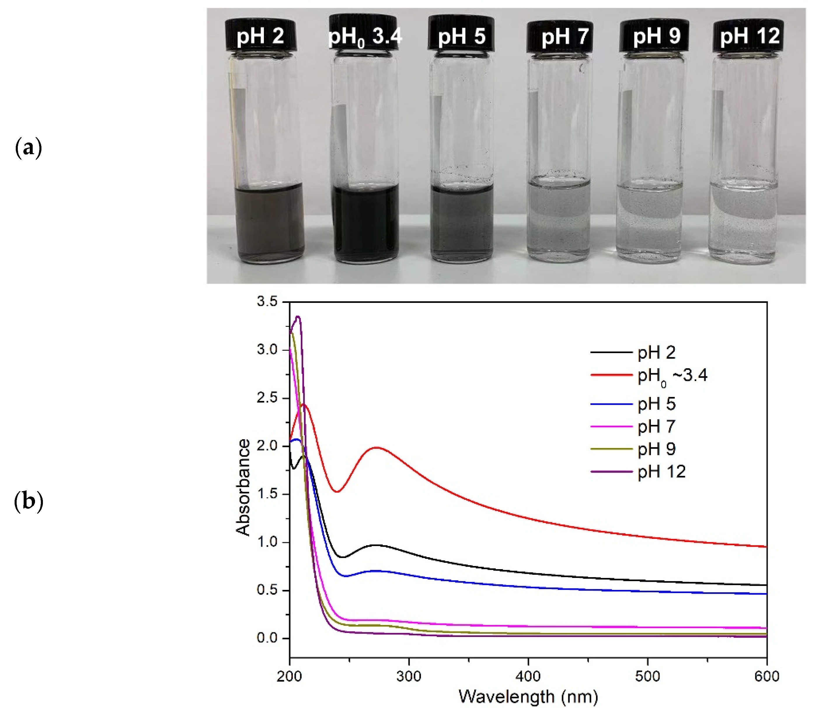 Polymers 14 04165 g006