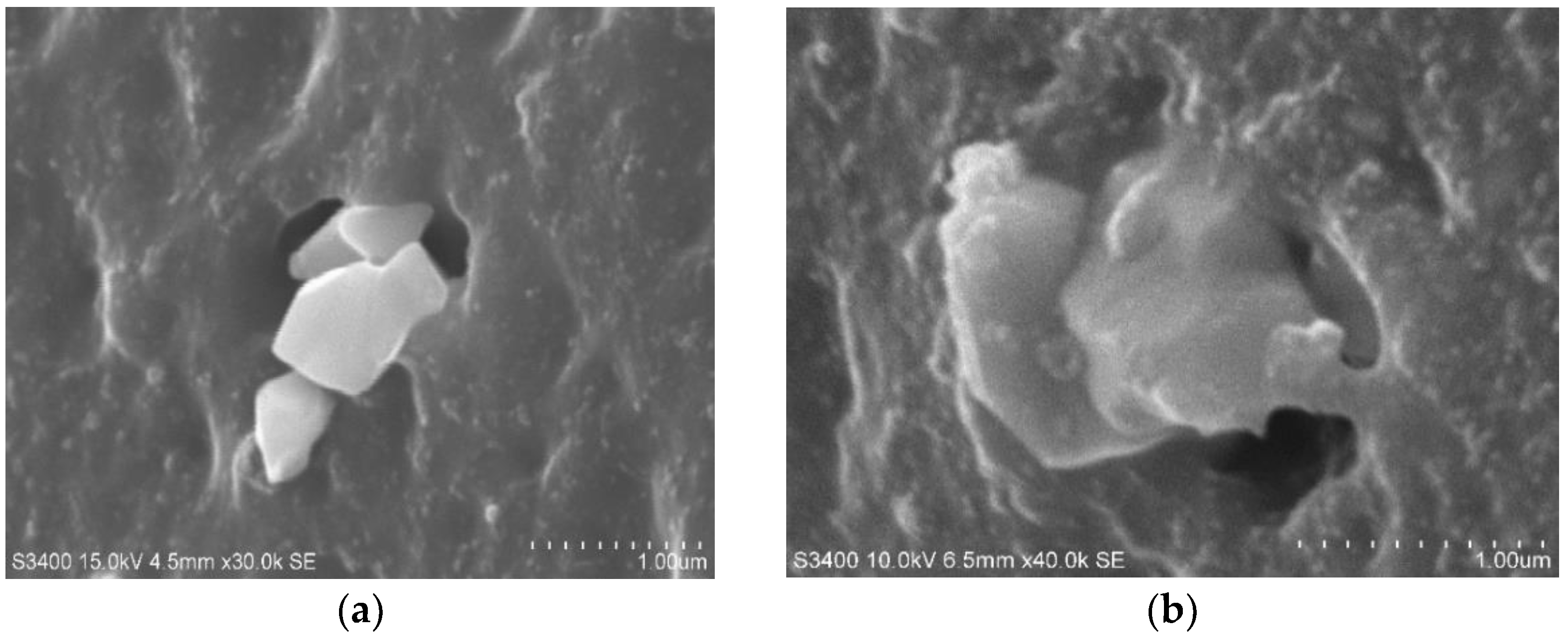 Polymers 14 04166 g001