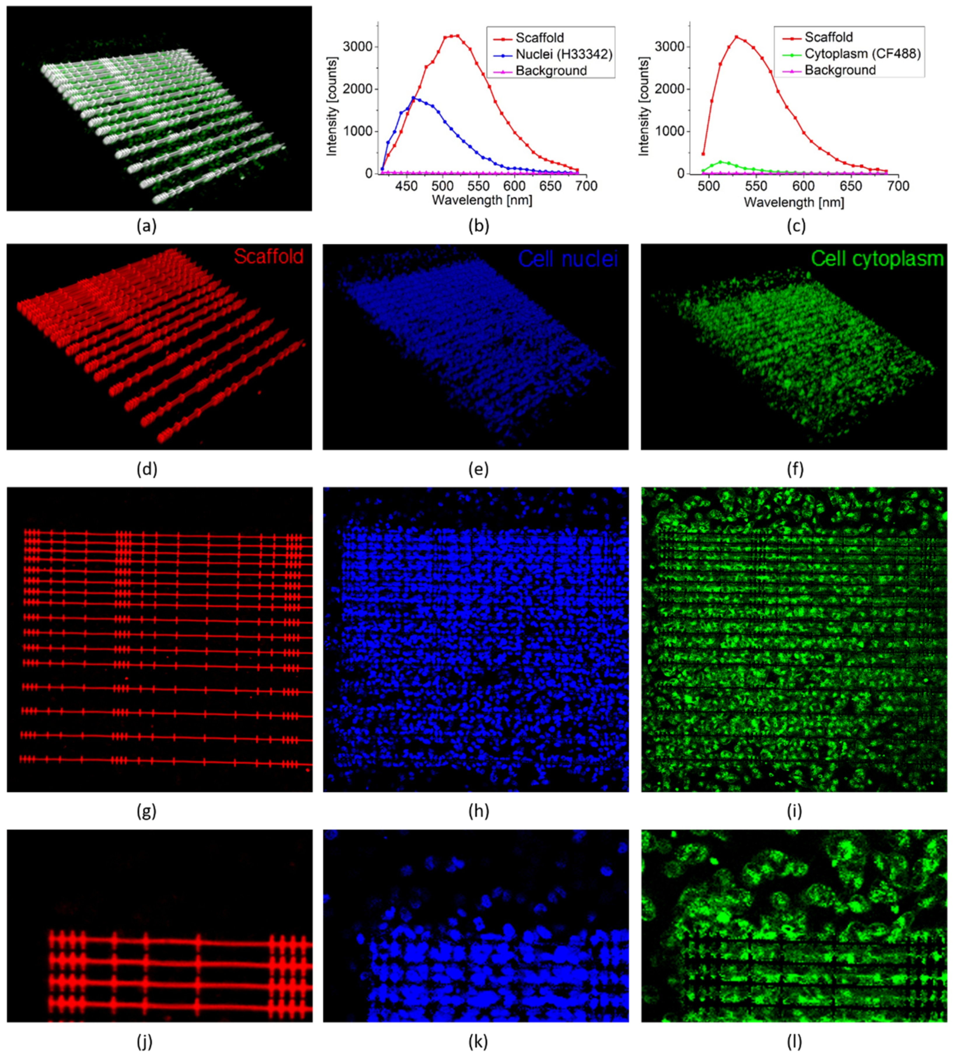 Polymers 14 04168 g005 Polymers 14 04168 g005