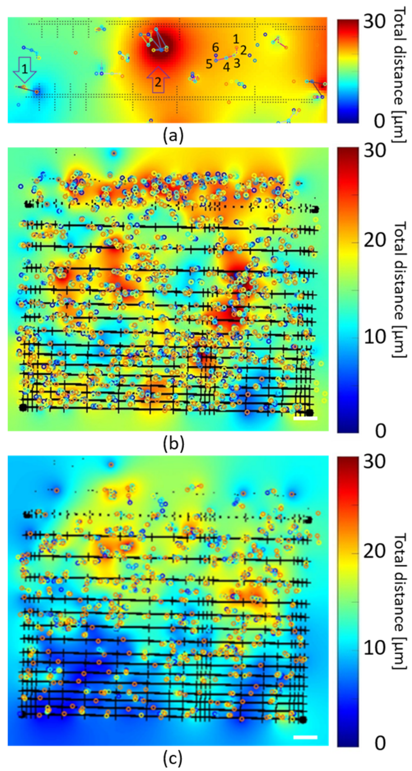 Polymers 14 04168 g008 Polymers 14 04168 g008