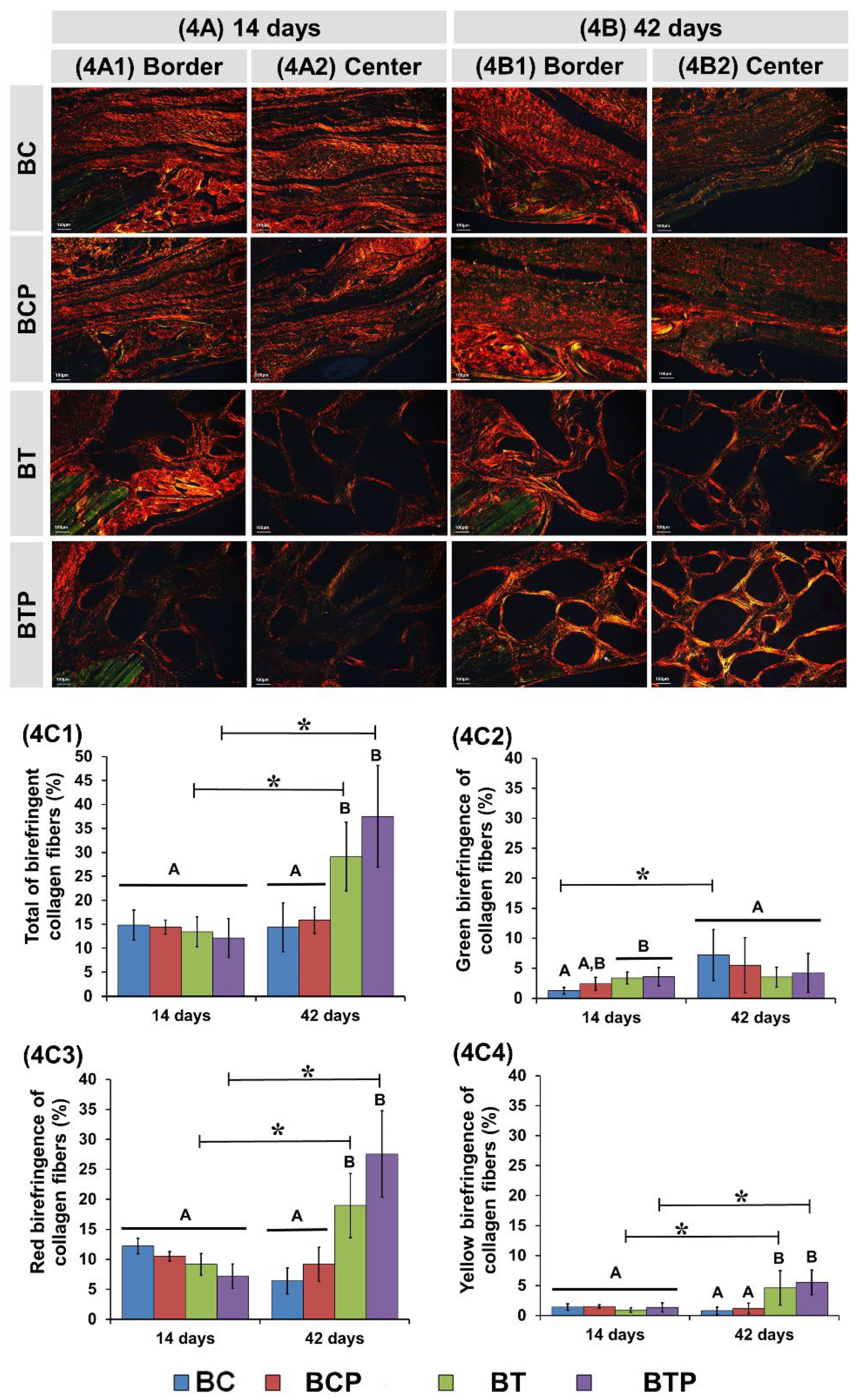 Polymers 14 04170 g004