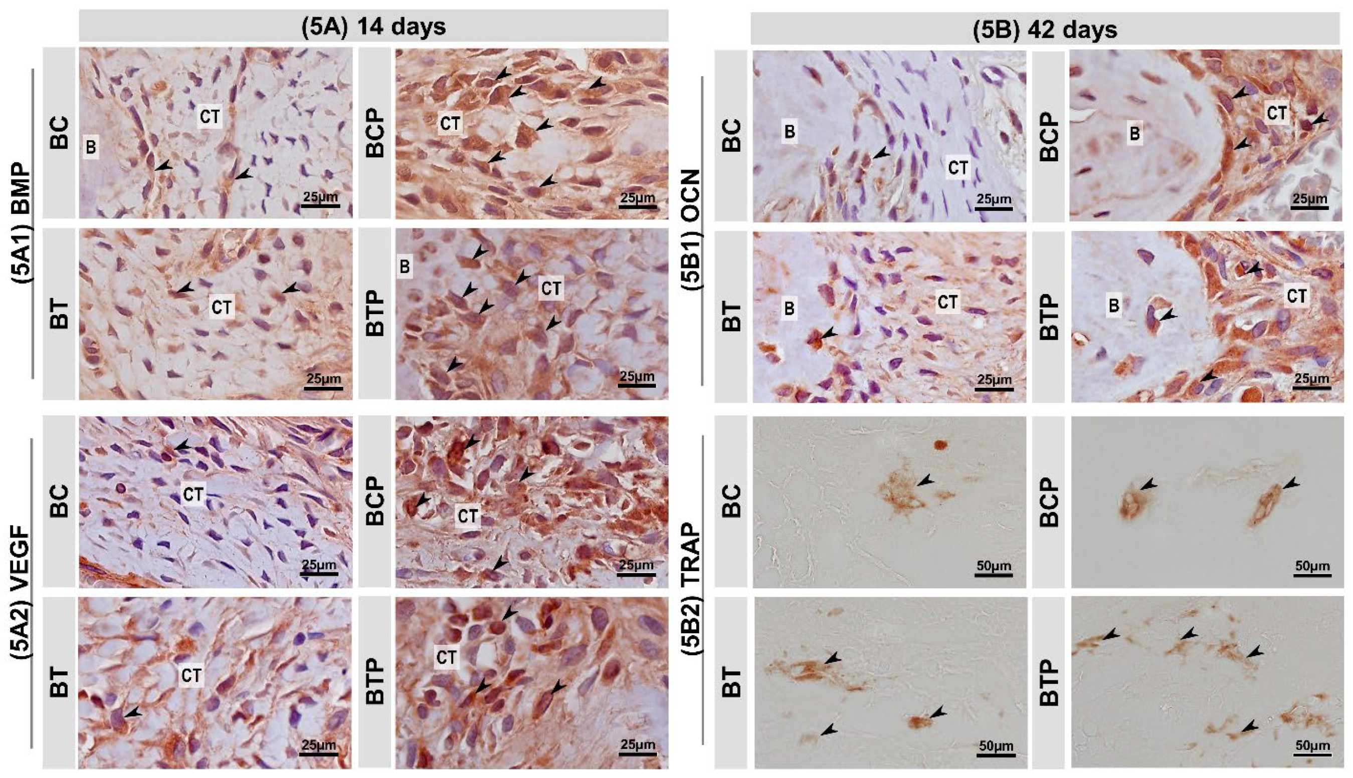 Polymers 14 04170 g005