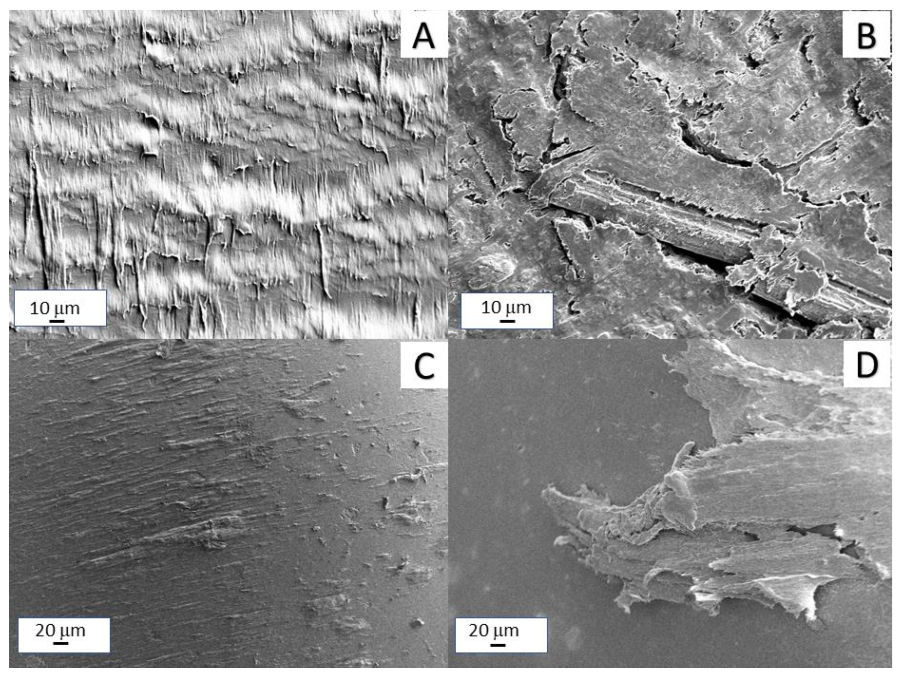 Polymers 14 04171 g009 Polymers 14 04171 g009