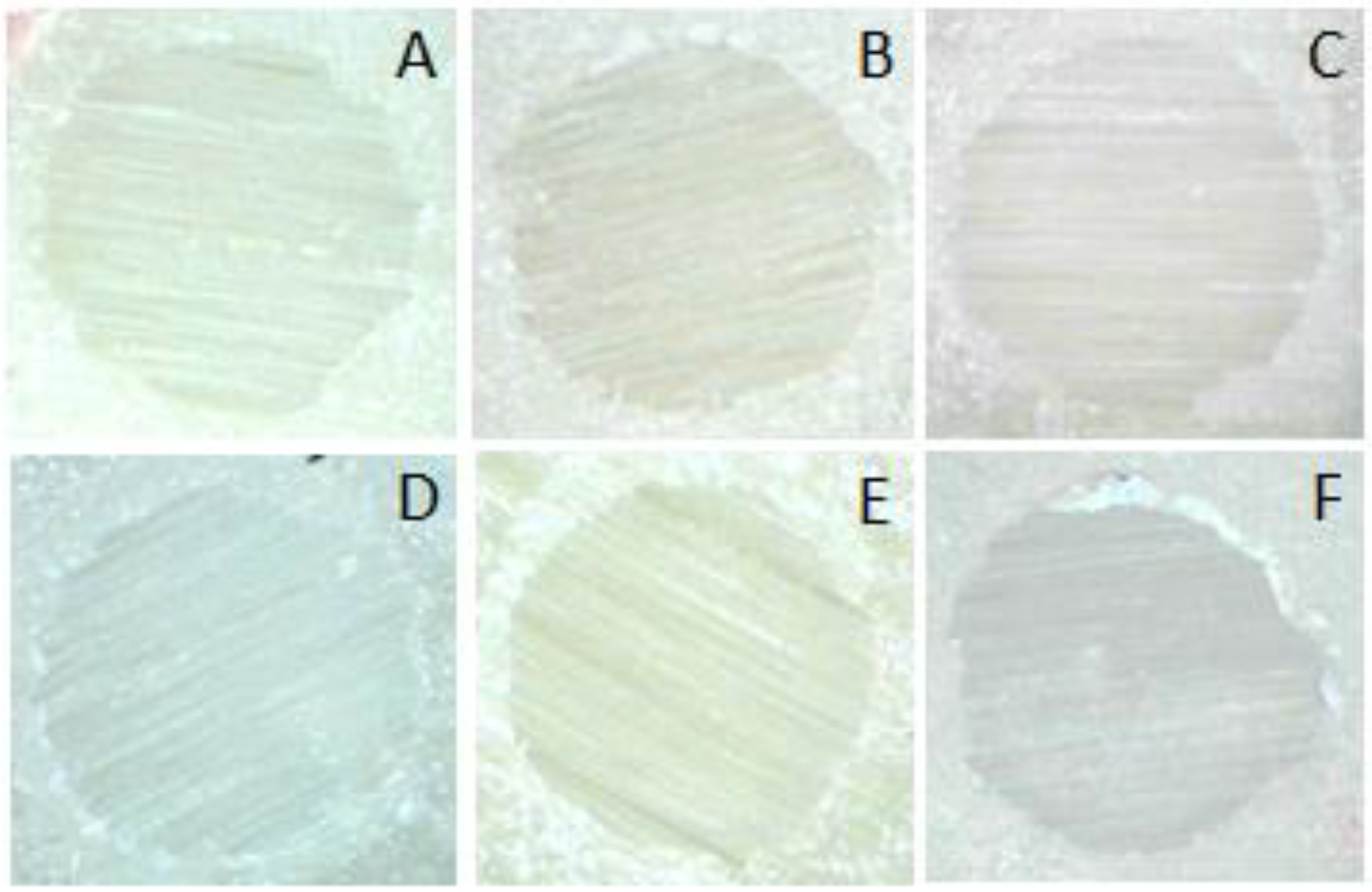 Polymers 14 04174 g002