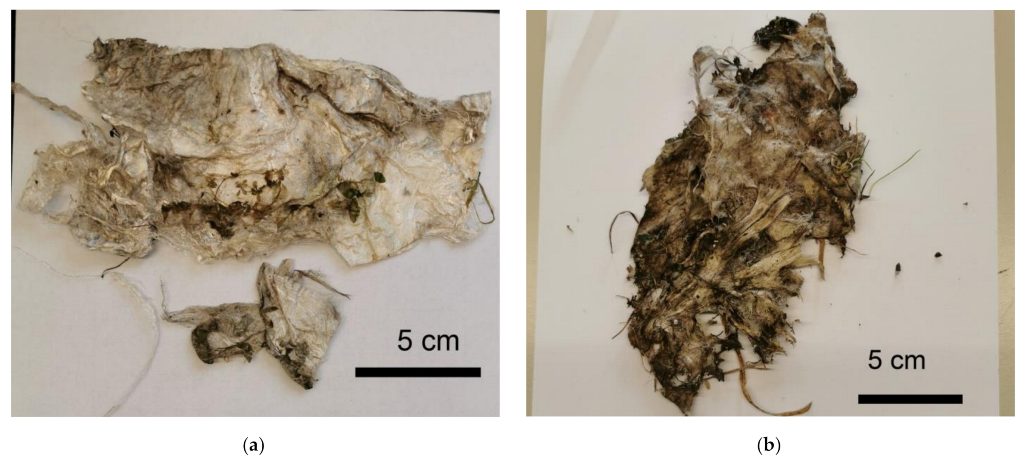 Polymers 14 04179 g004 Polymers 14 04179 g004