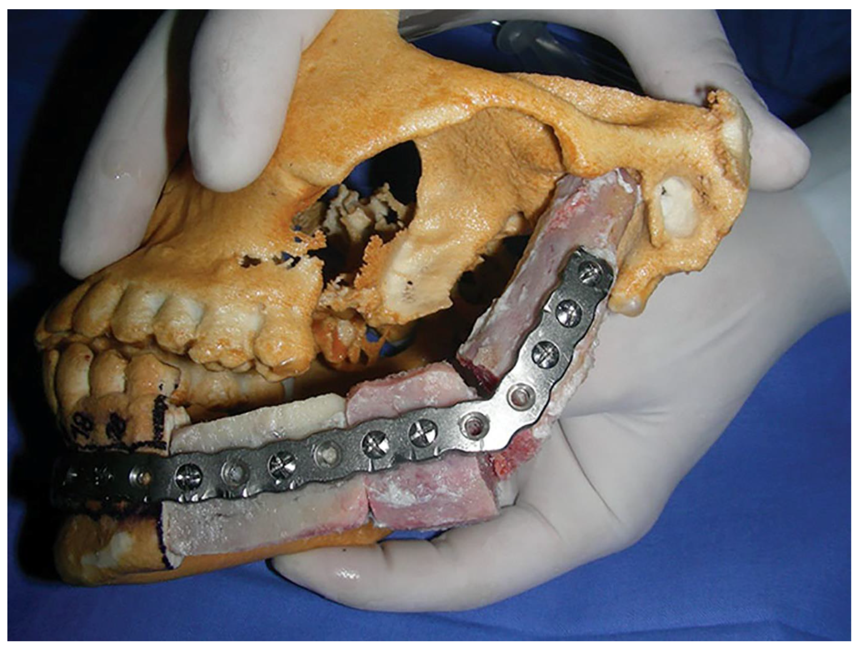 Polymers 14 04186 g004 Polymers 14 04186 g004