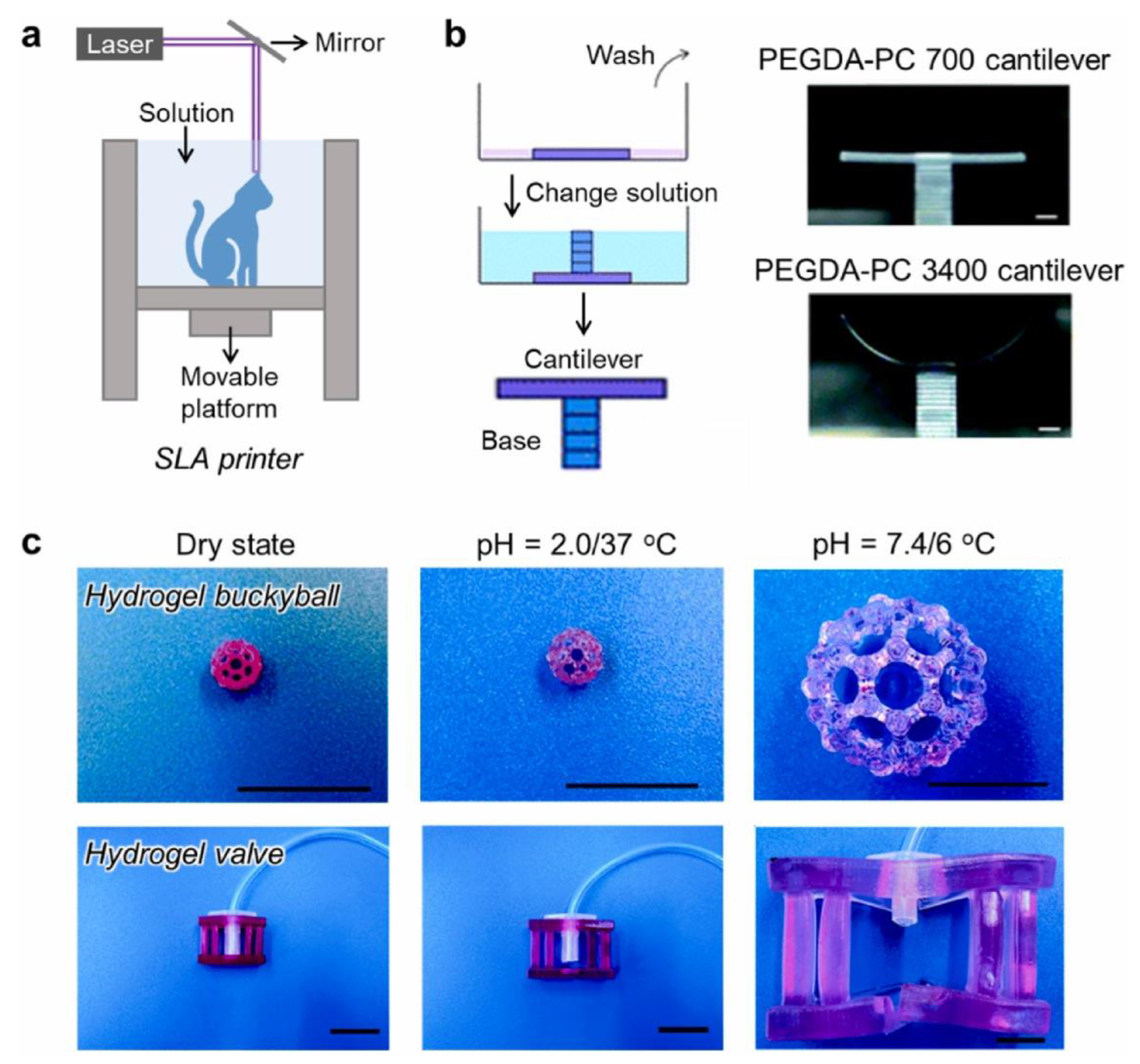 Polymers 14 04186 g005 Polymers 14 04186 g005