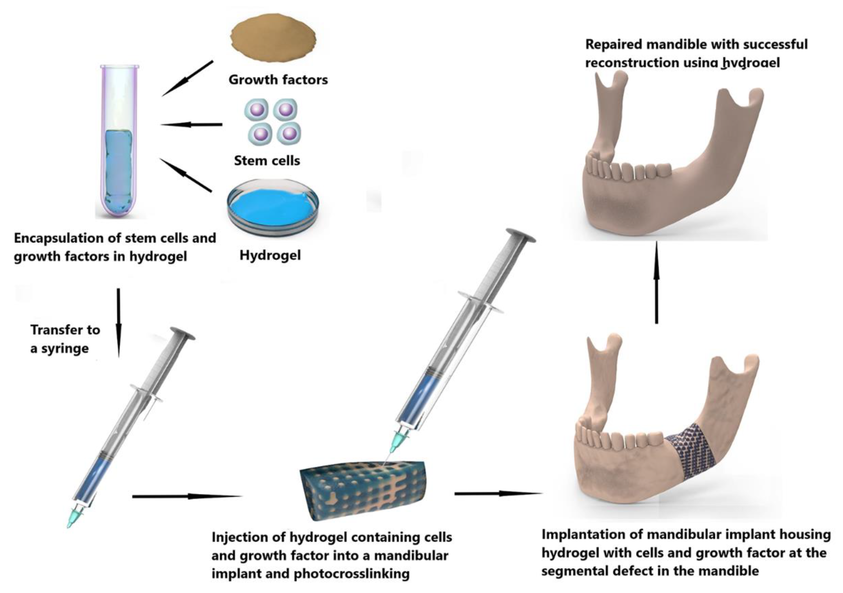 Polymers 14 04186 g008 Polymers 14 04186 g008