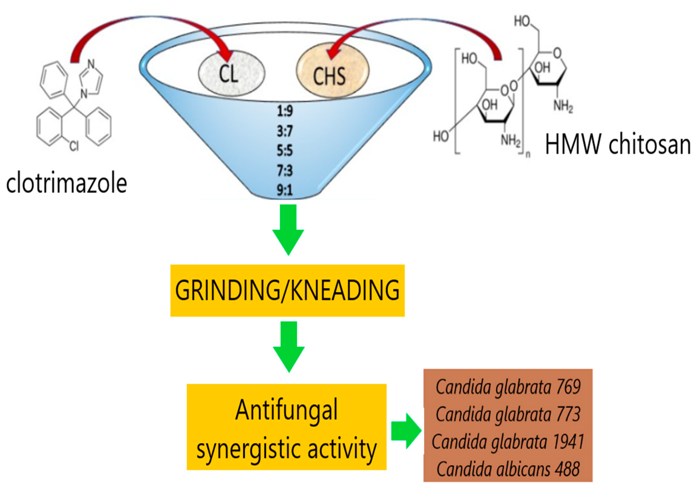 Polymers 14 04189 g004