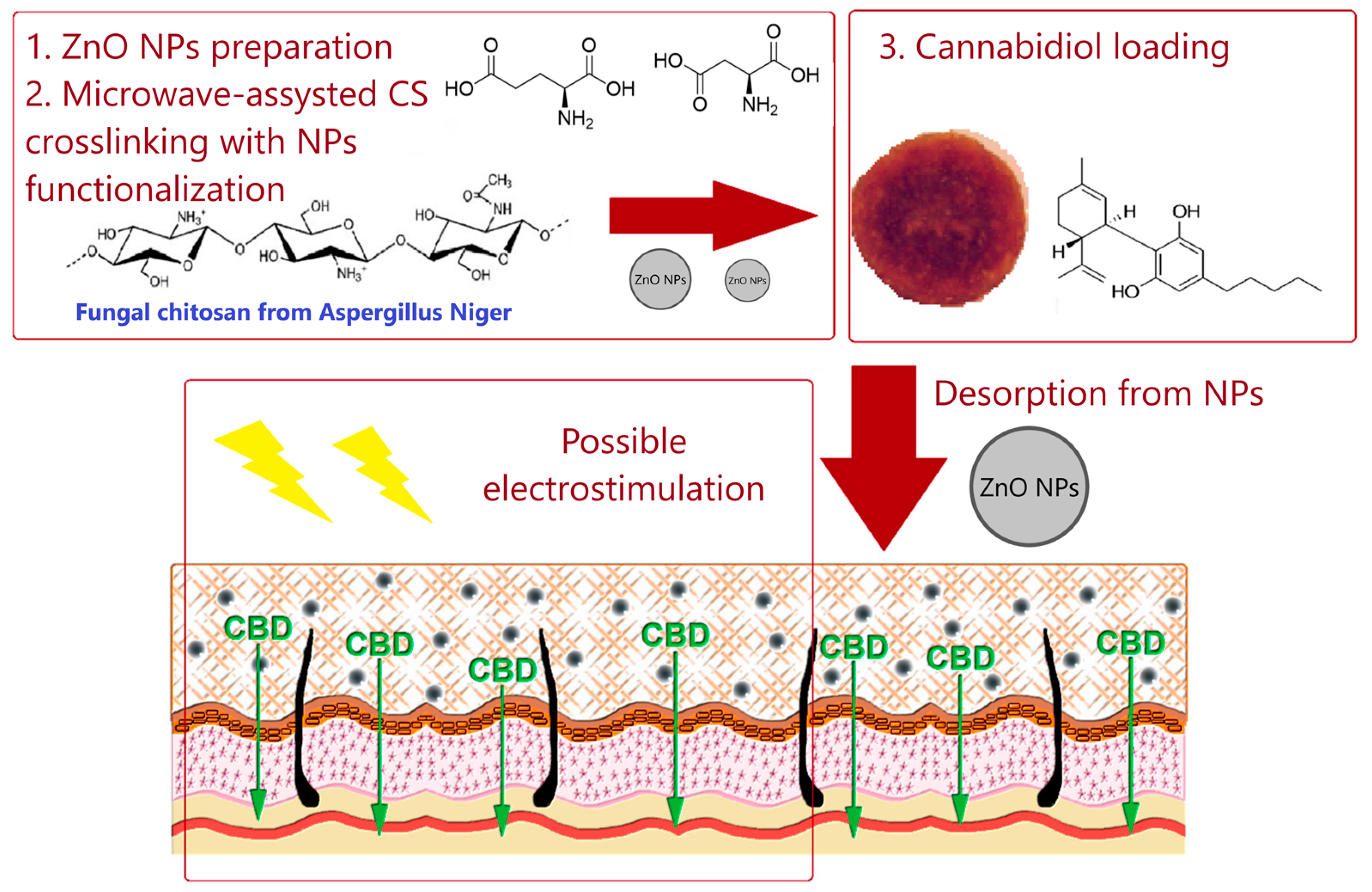Polymers 14 04189 g005