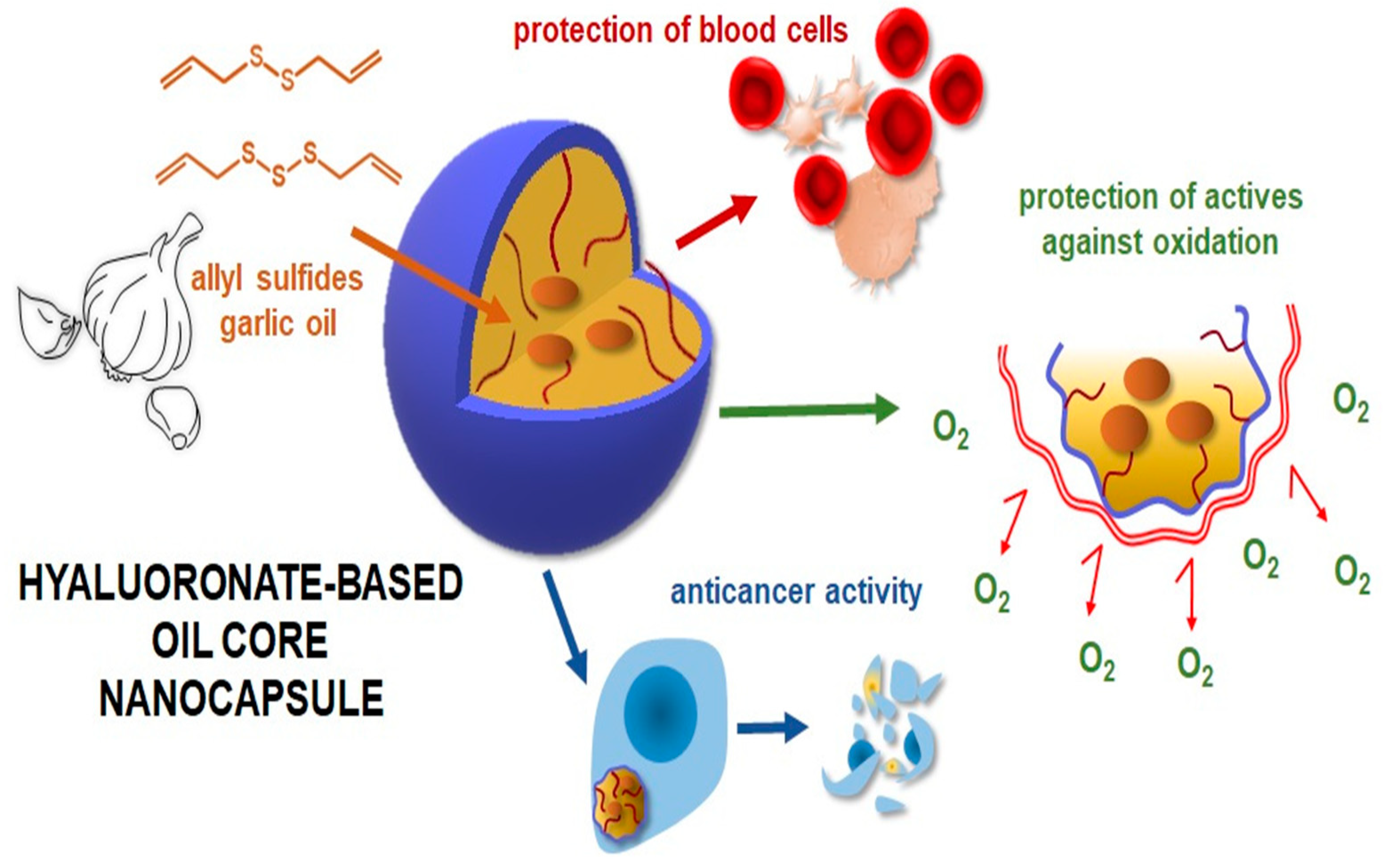 Polymers 14 04189 g008