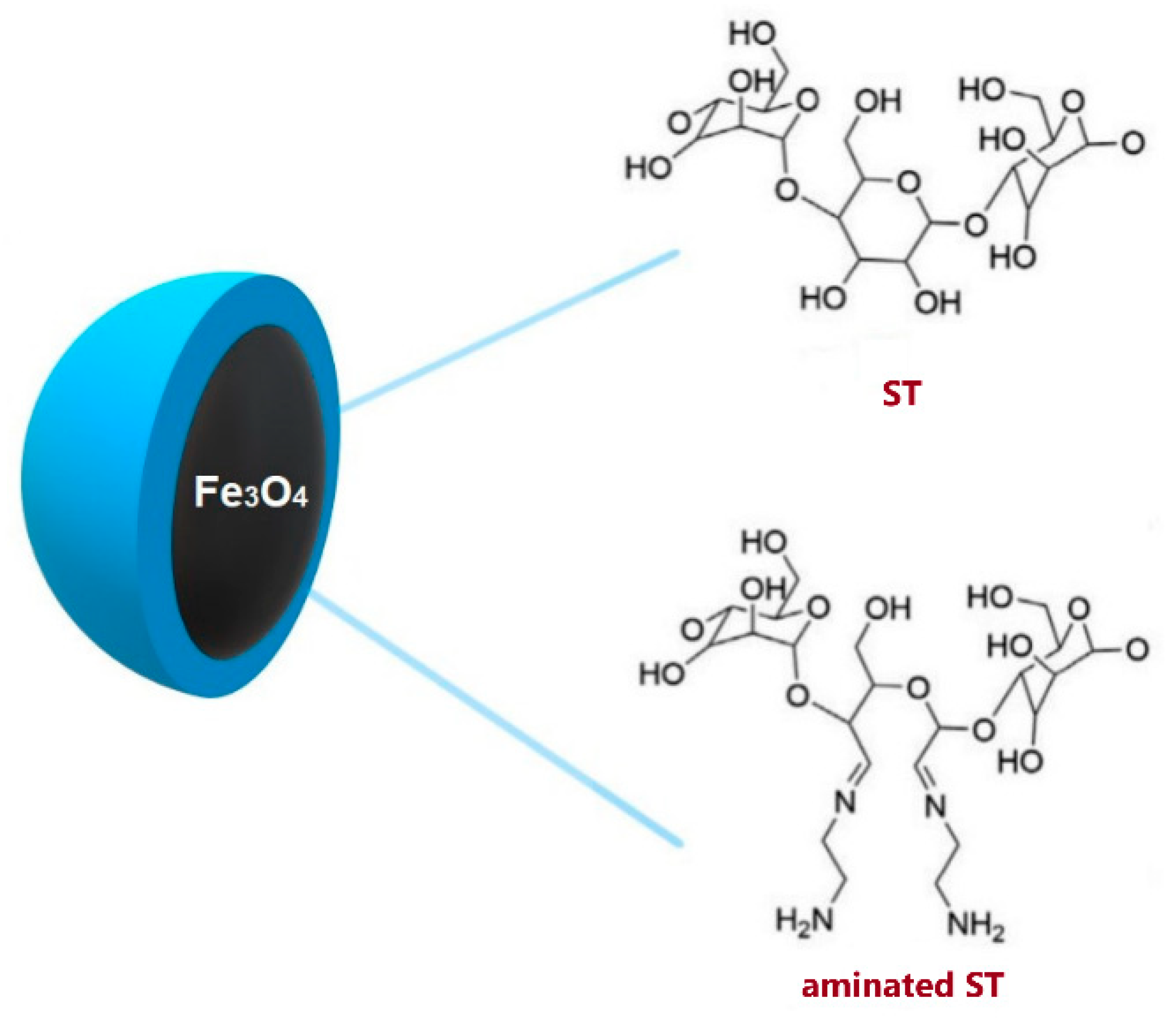 Polymers 14 04189 g009