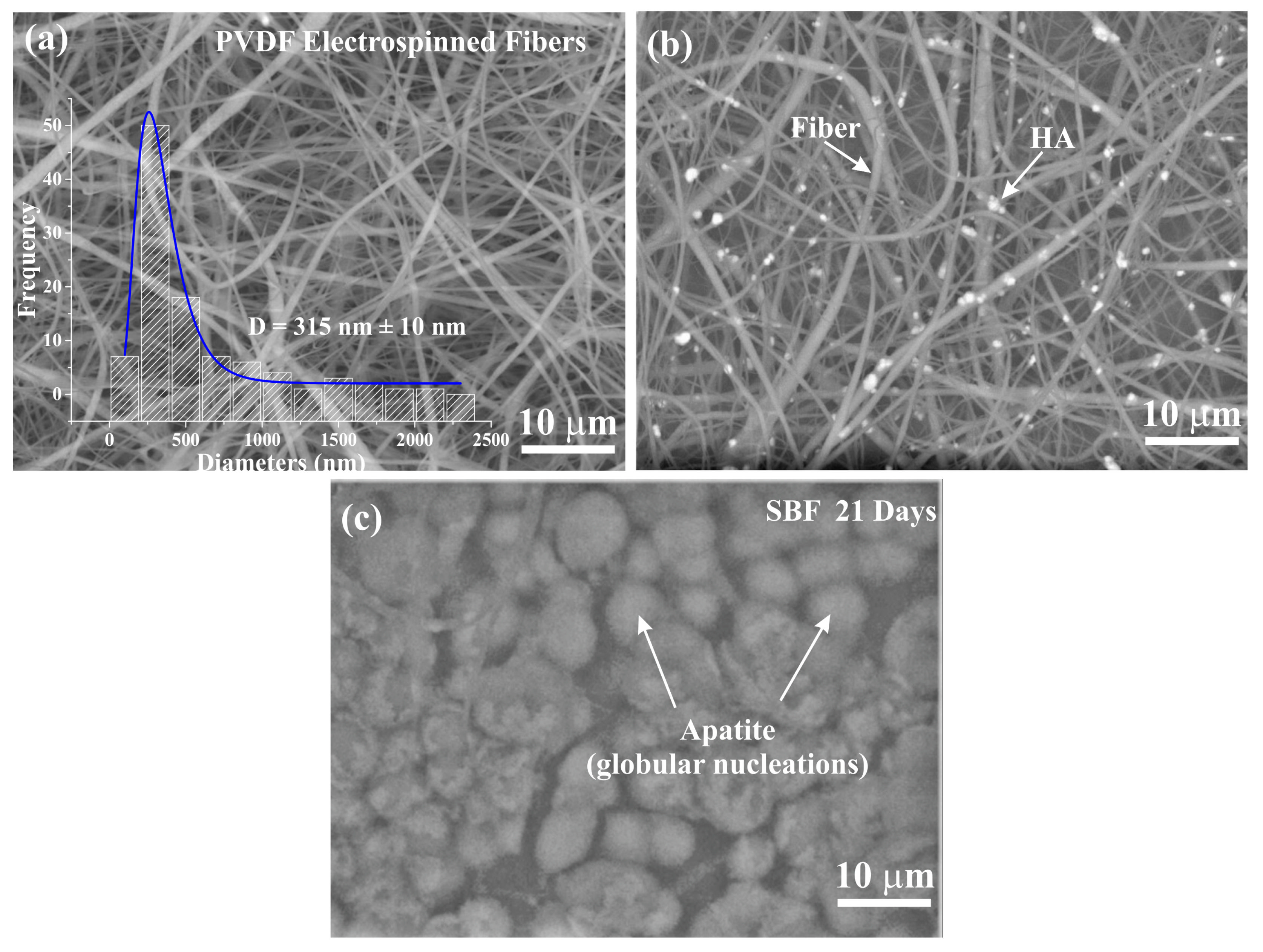 Polymers 14 04190 g001 Polymers 14 04190 g001