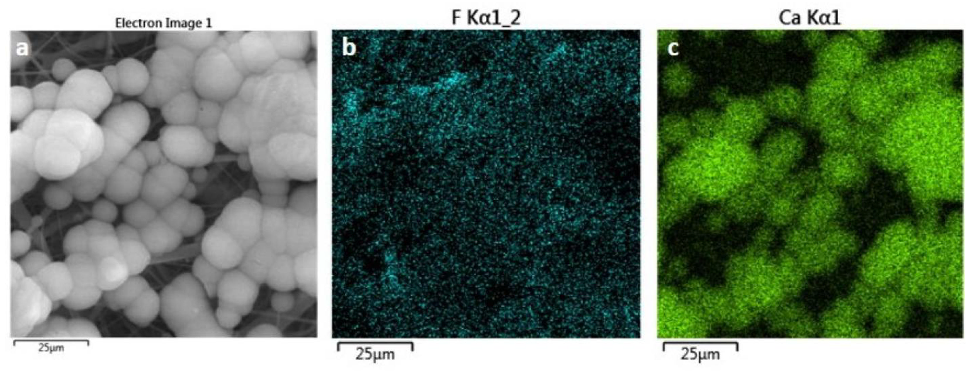 Polymers 14 04190 g002 Polymers 14 04190 g002