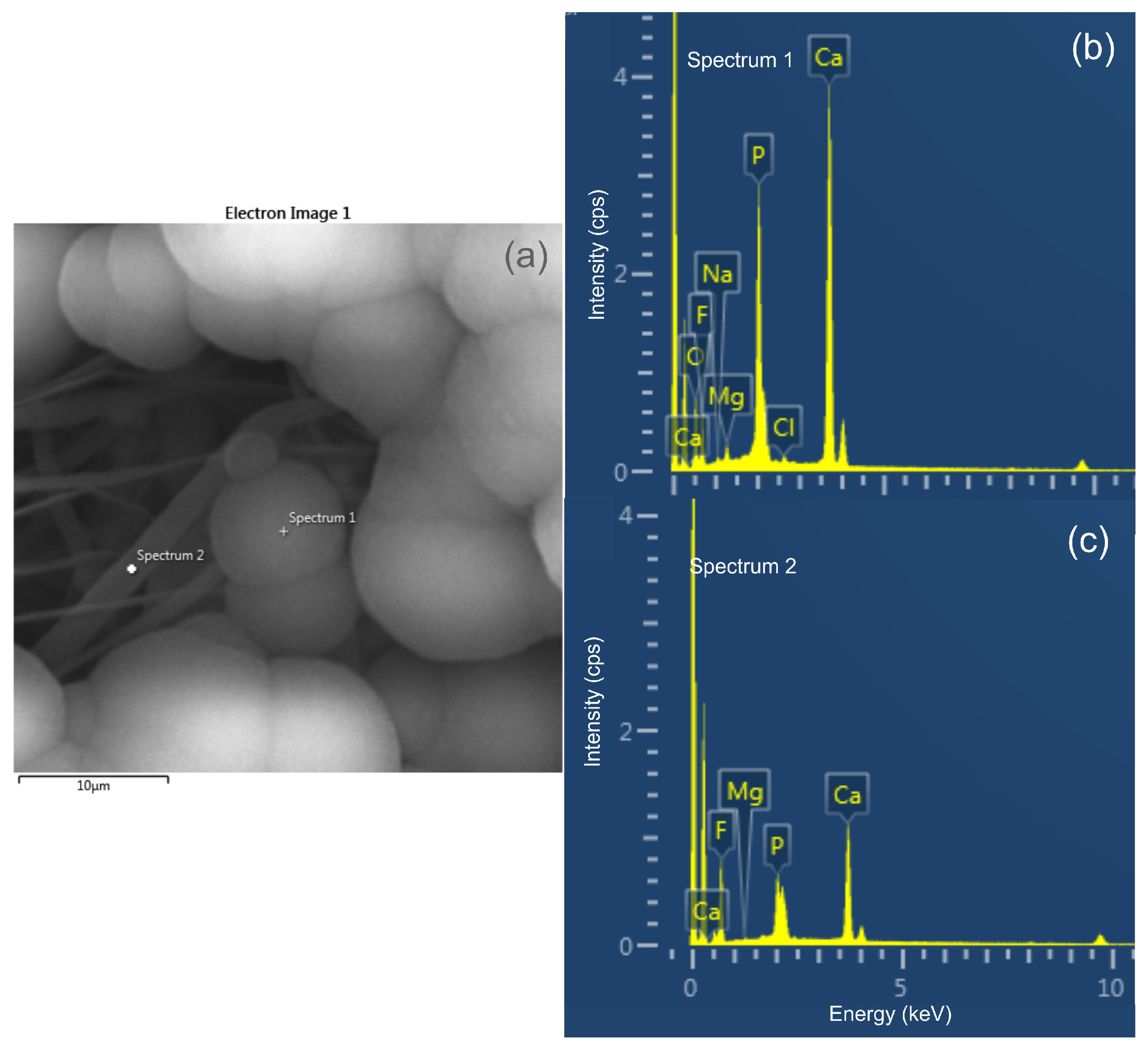 Polymers 14 04190 g003 Polymers 14 04190 g003