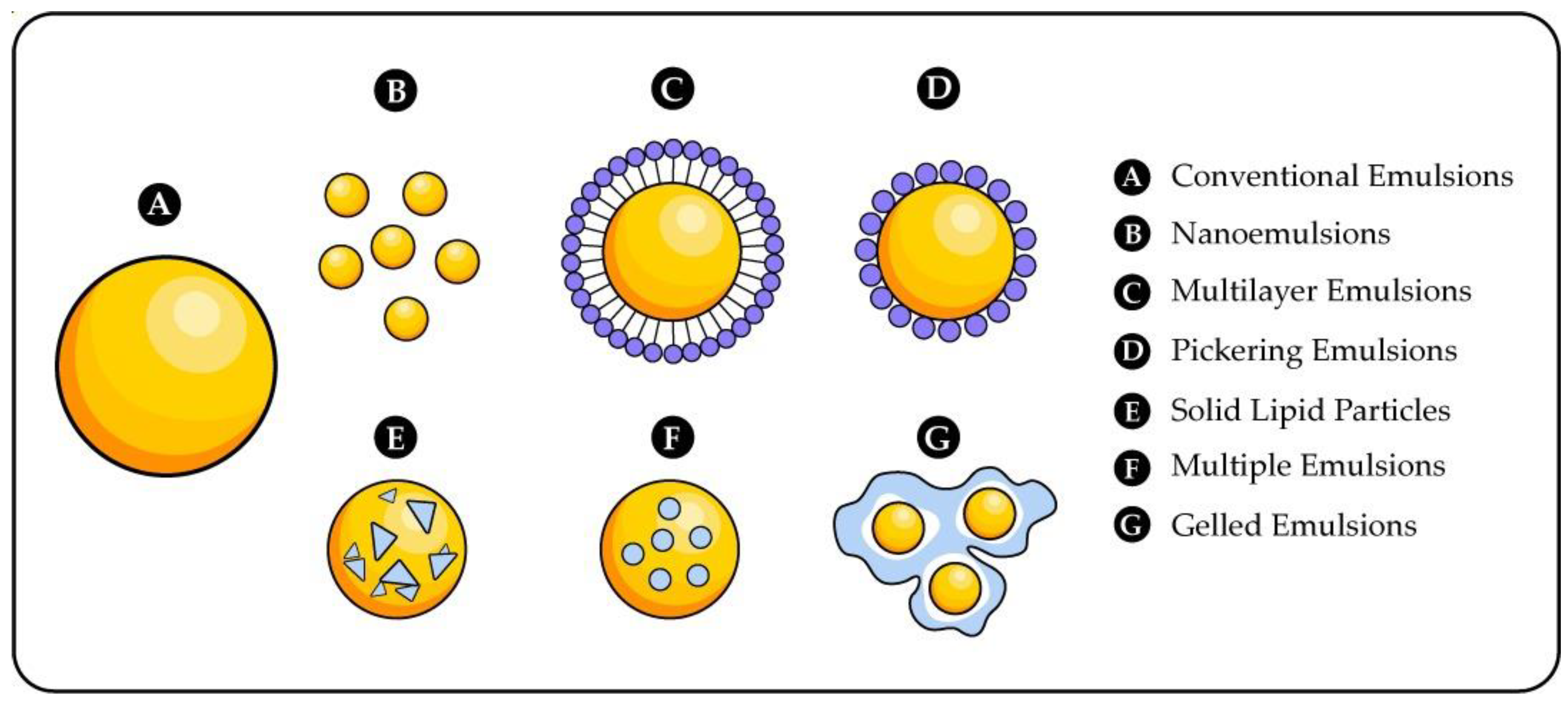 Polymers 14 04194 g002