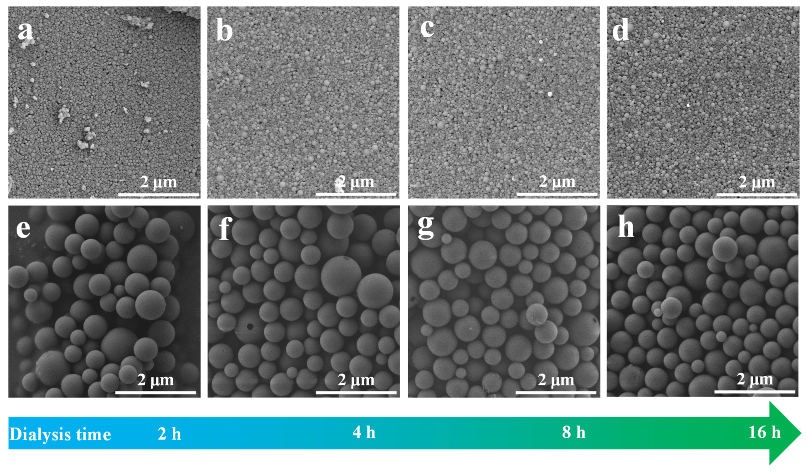 Polymers 14 04196 g002