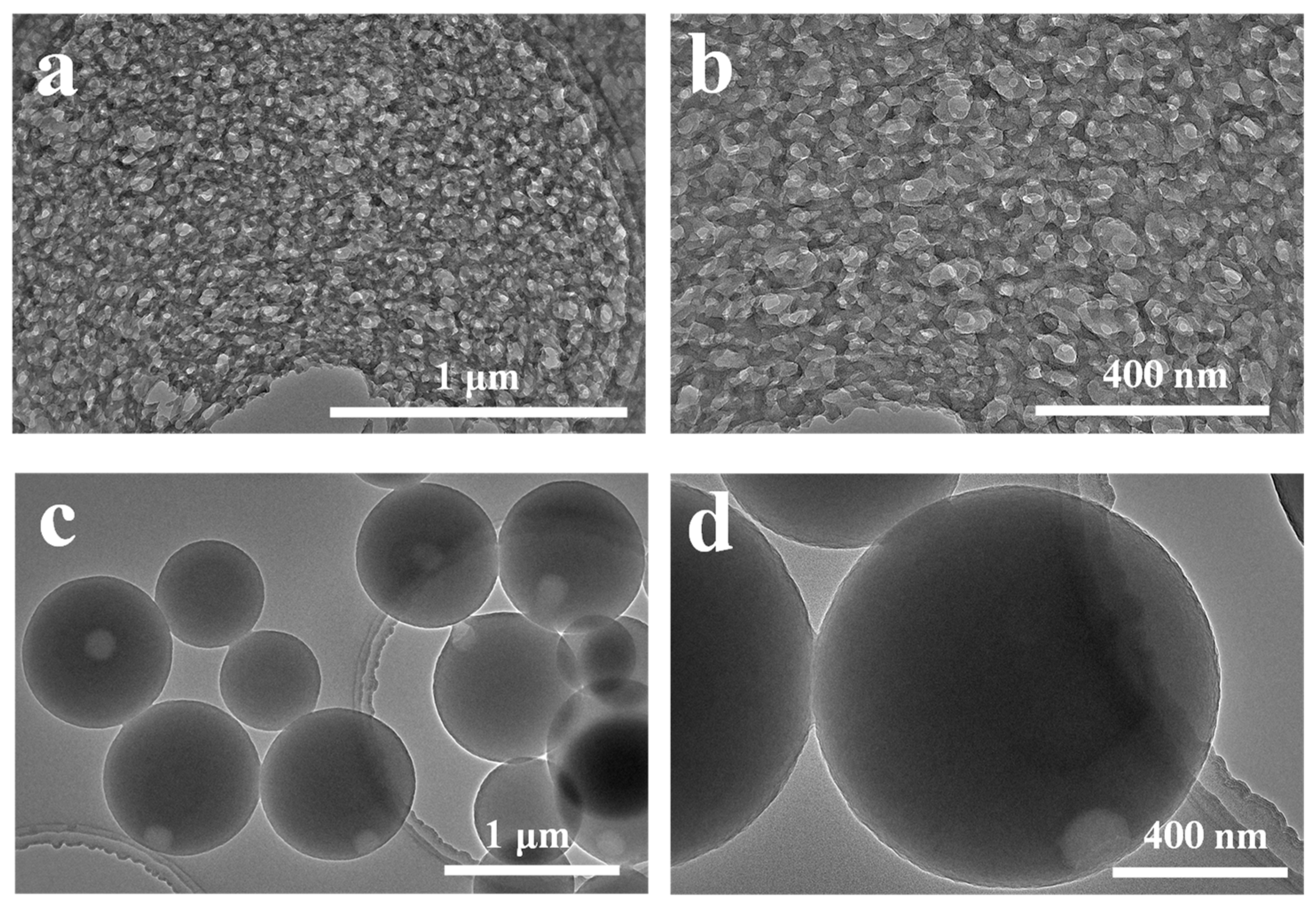 Polymers 14 04196 g007