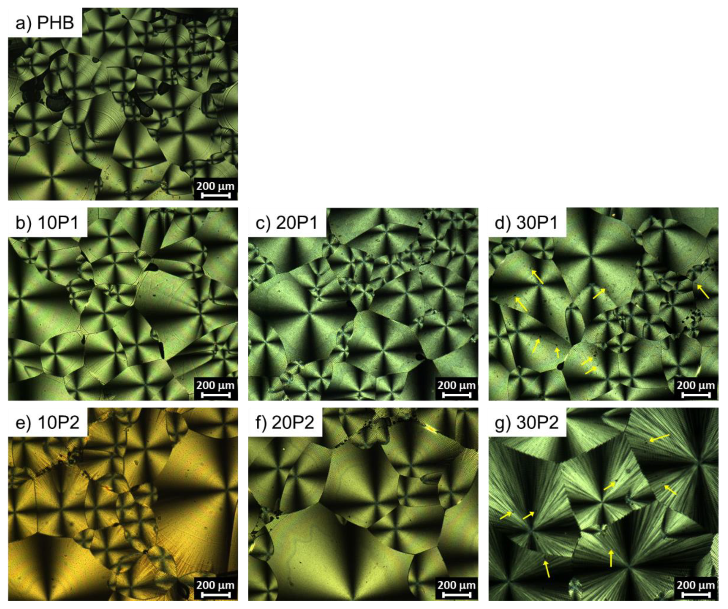 Polymers 14 04197 g007