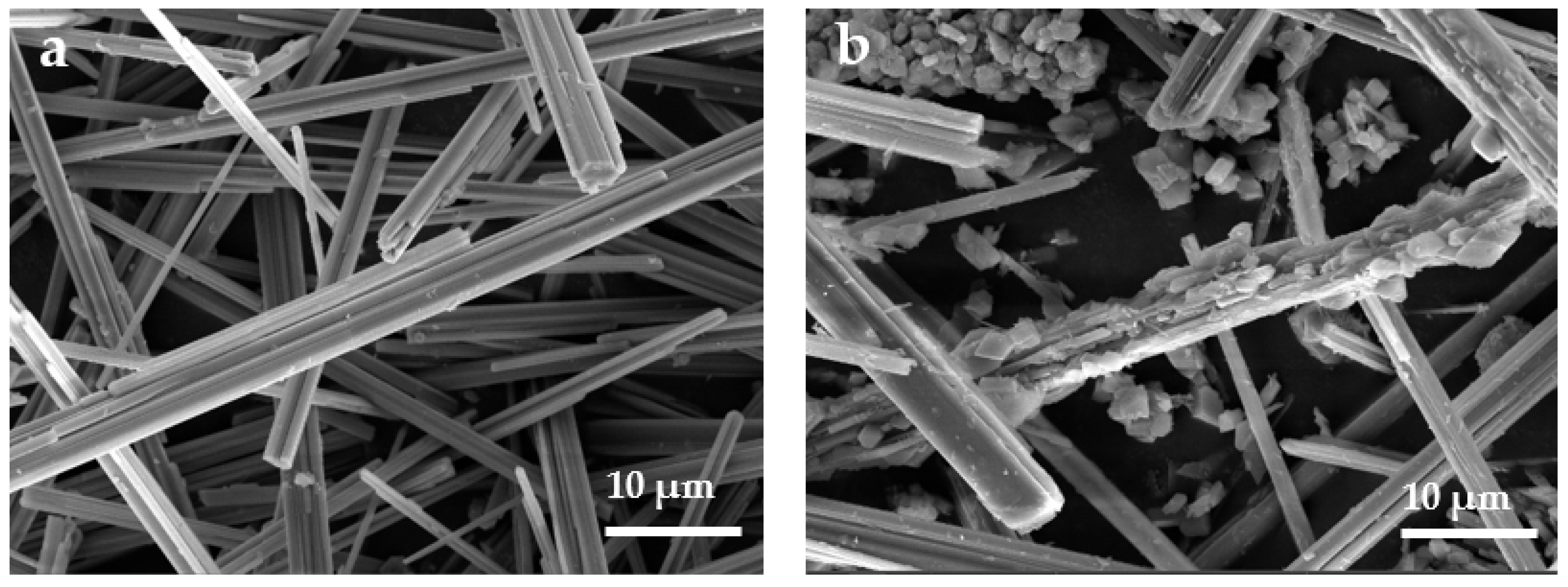 Polymers 14 04199 g005a Polymers 14 04199 g005a
