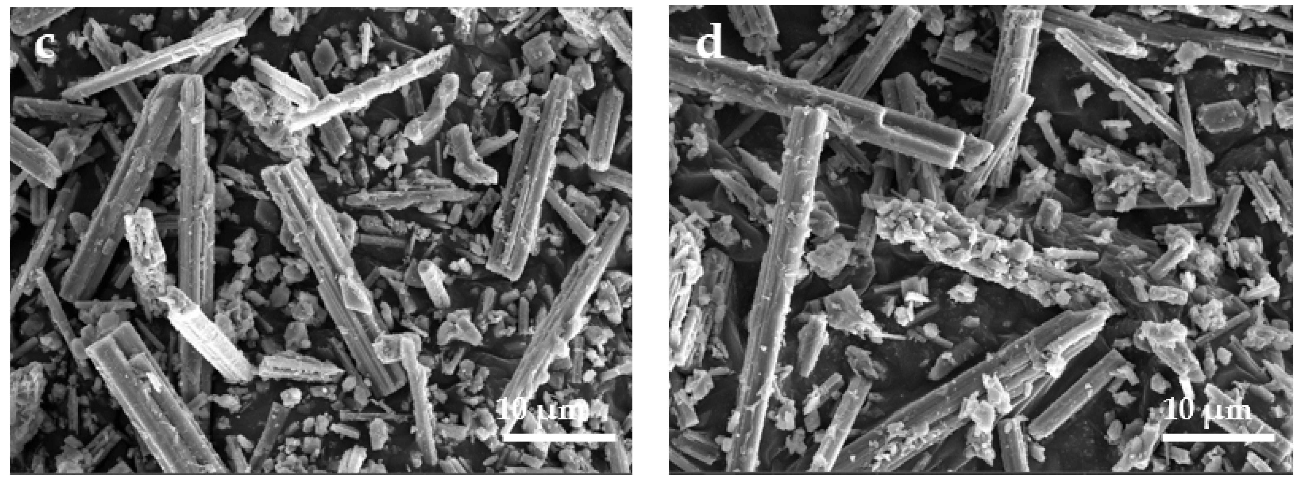 Polymers 14 04199 g005b Polymers 14 04199 g005b