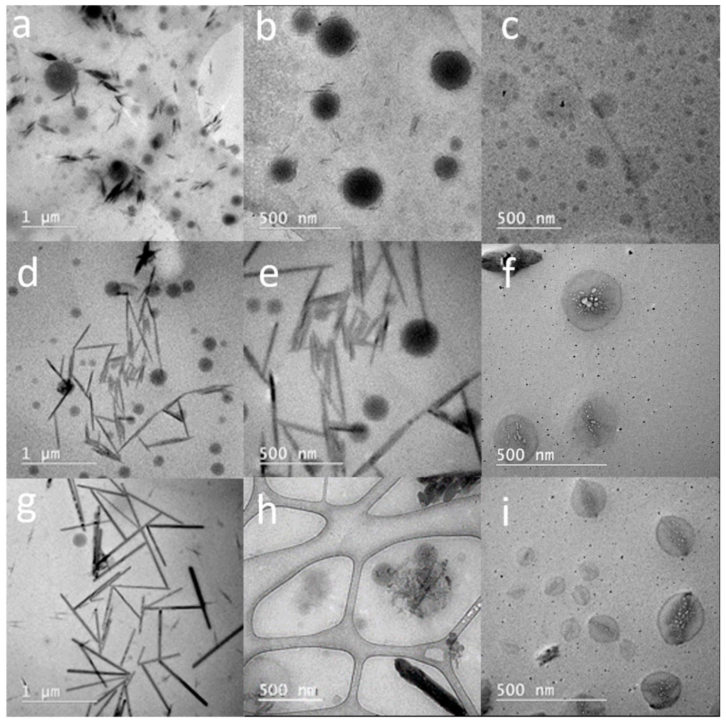 Polymers 14 04200 g003 Polymers 14 04200 g003