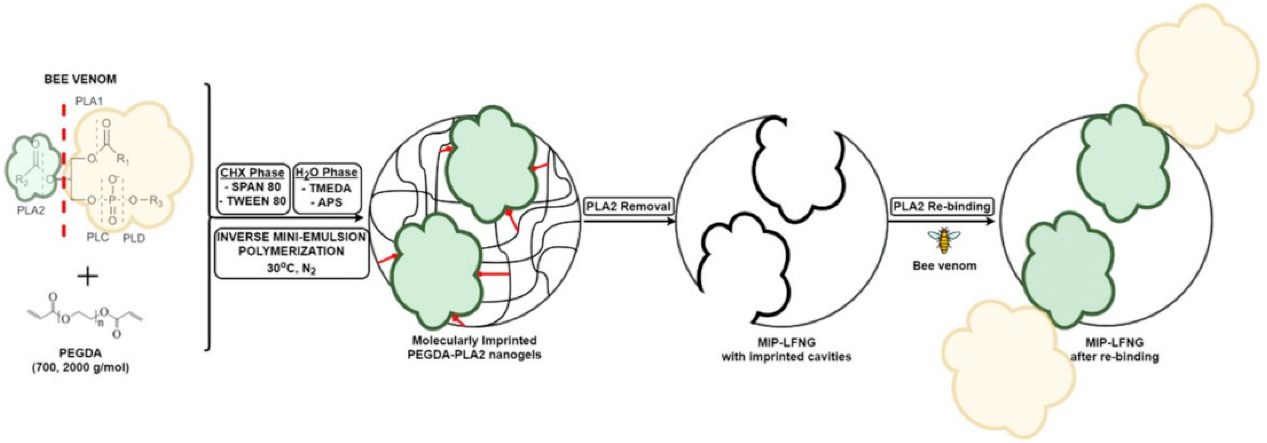 Polymers 14 04200 sch001 Polymers 14 04200 sch001