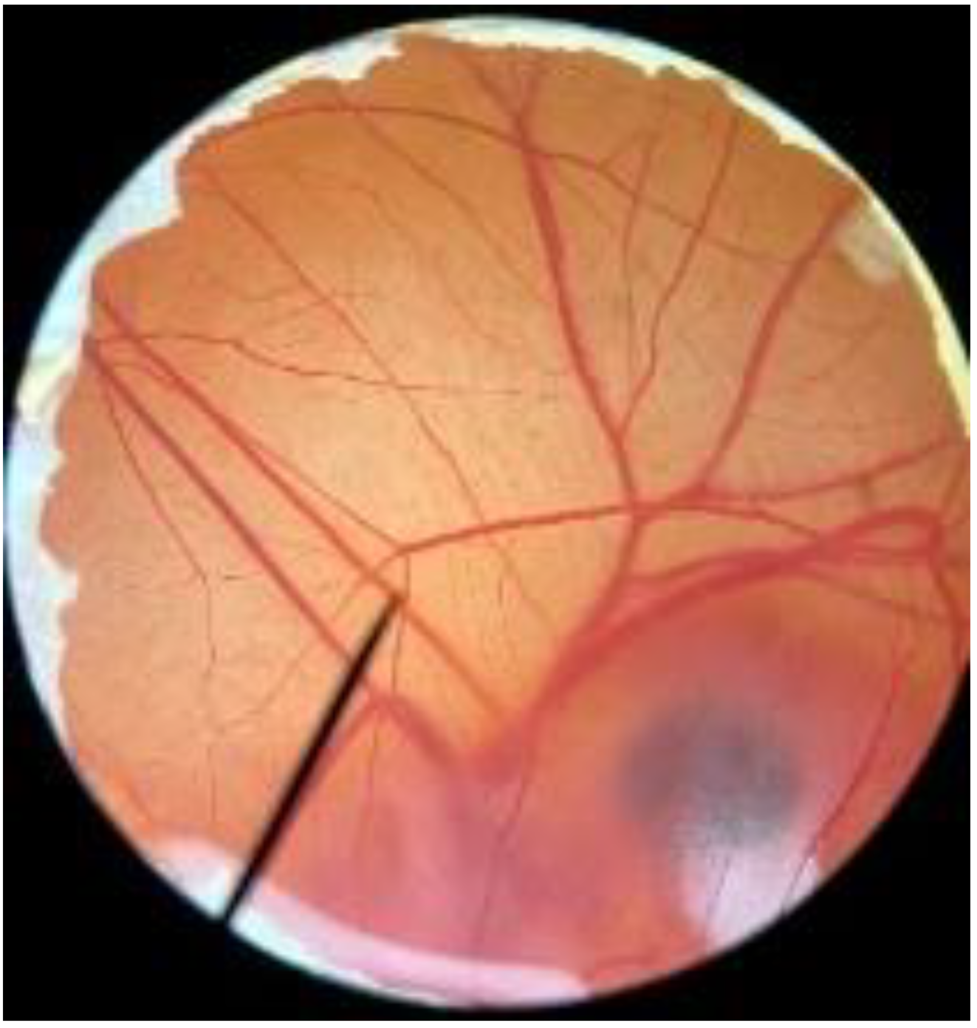 Polymers 14 04202 i002 Polymers 14 04202 i002