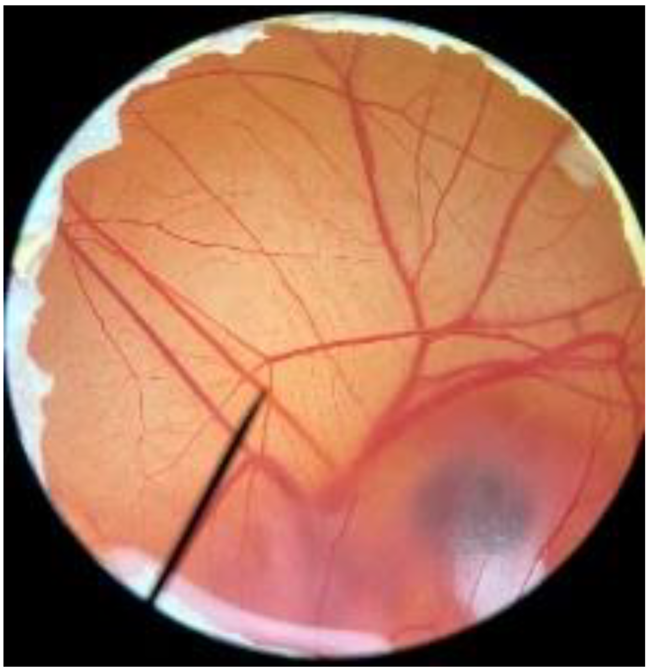 Polymers 14 04202 i003 Polymers 14 04202 i003