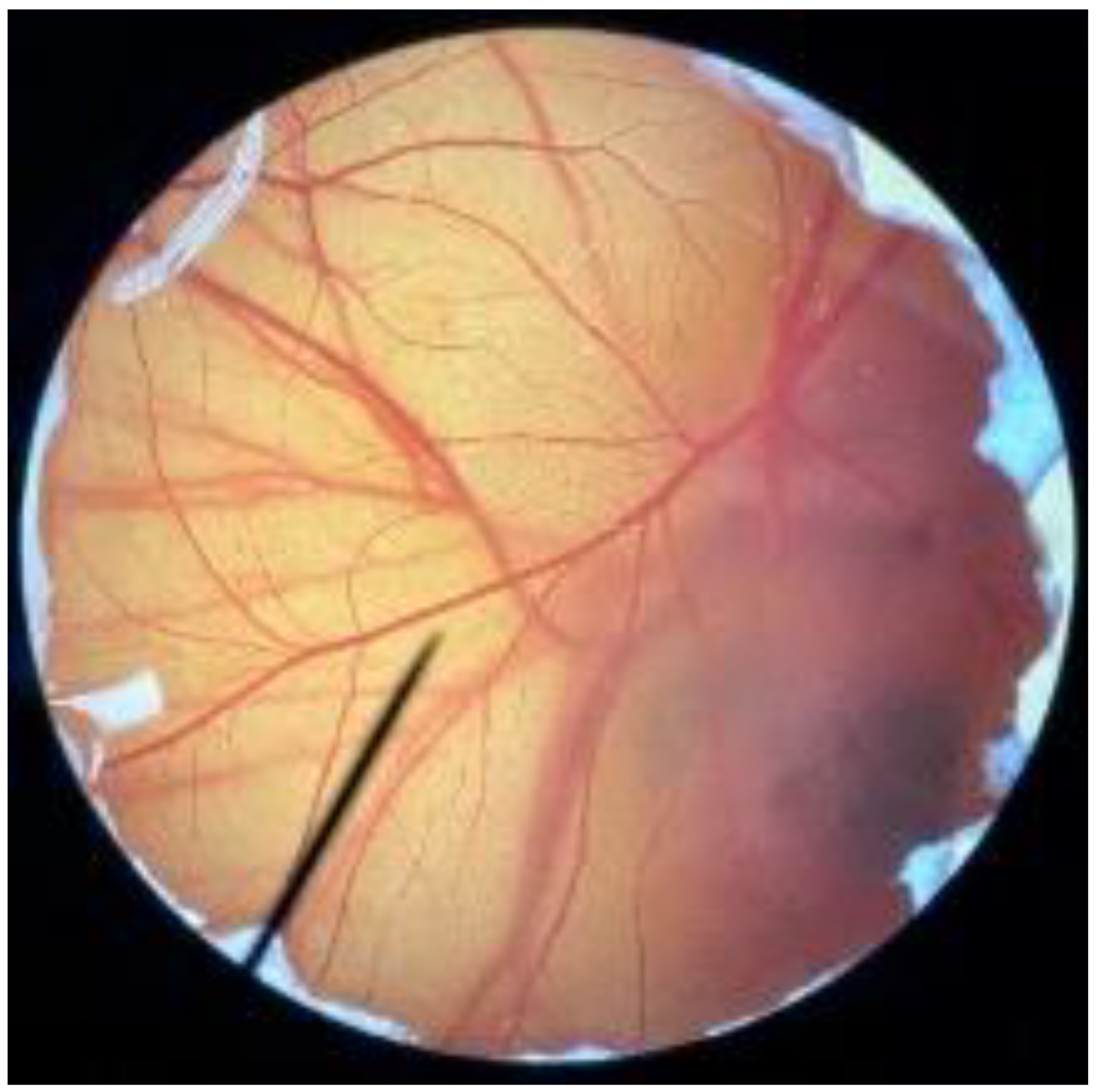 Polymers 14 04202 i004 Polymers 14 04202 i004