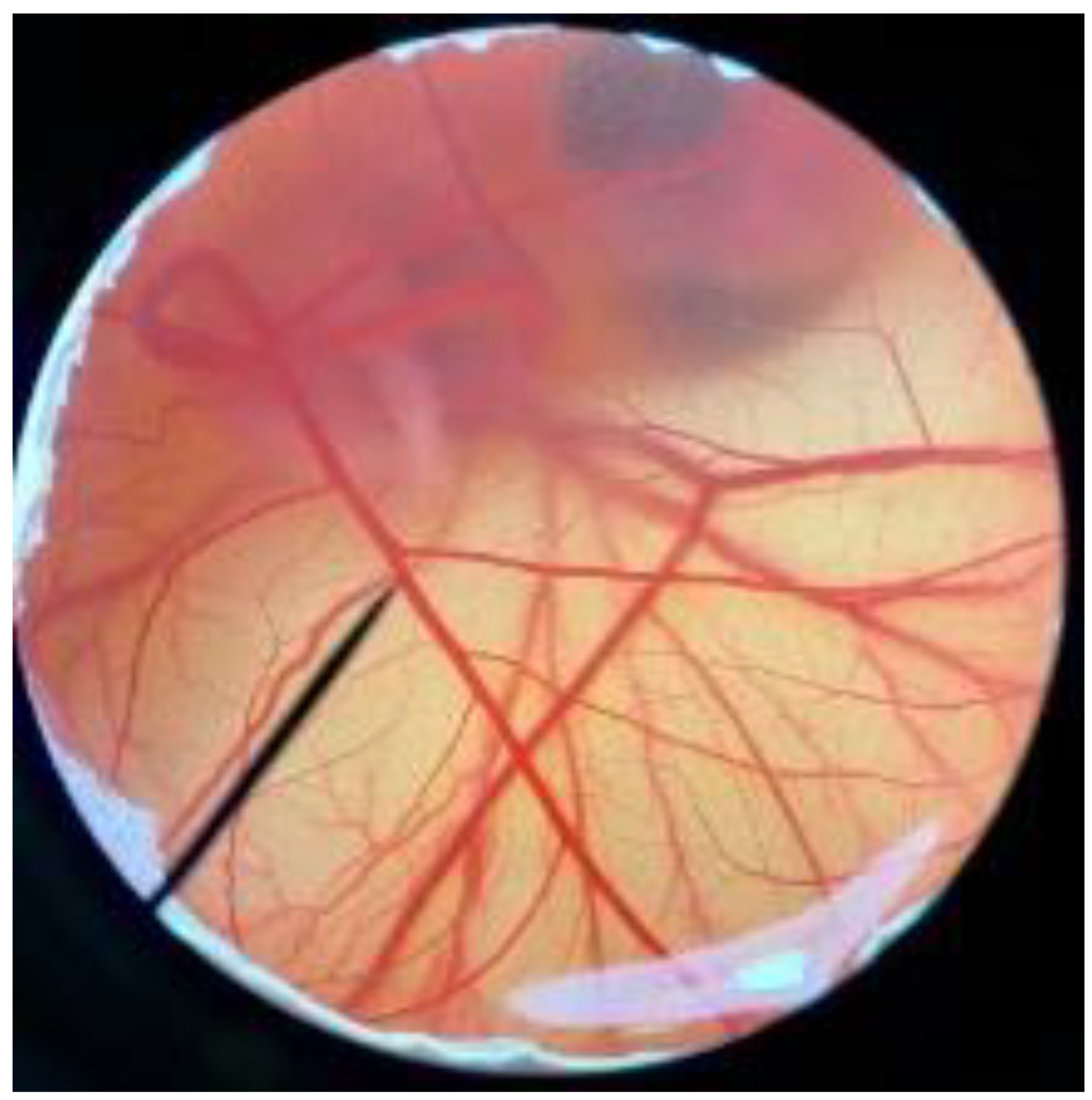 Polymers 14 04202 i007 Polymers 14 04202 i007